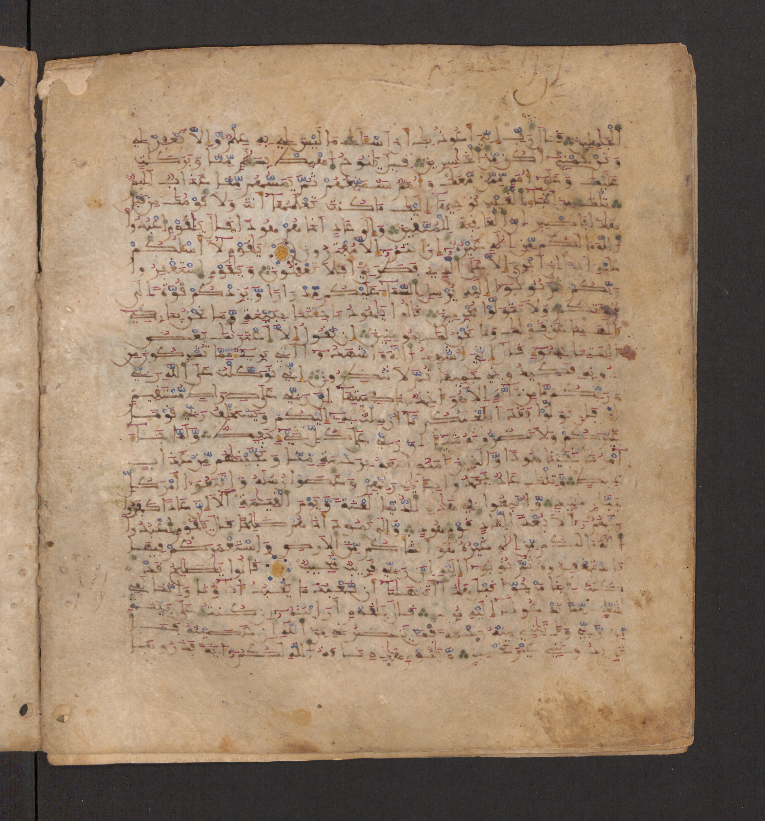 Doha, Qatar National Library, HC.MS.00715, in Maġribī micrography script, showing Surah 11:49 from 11th to 12th Century AD found in Muslim Iberia (al-Andalus), currently housed at Qatar National Library, Doha