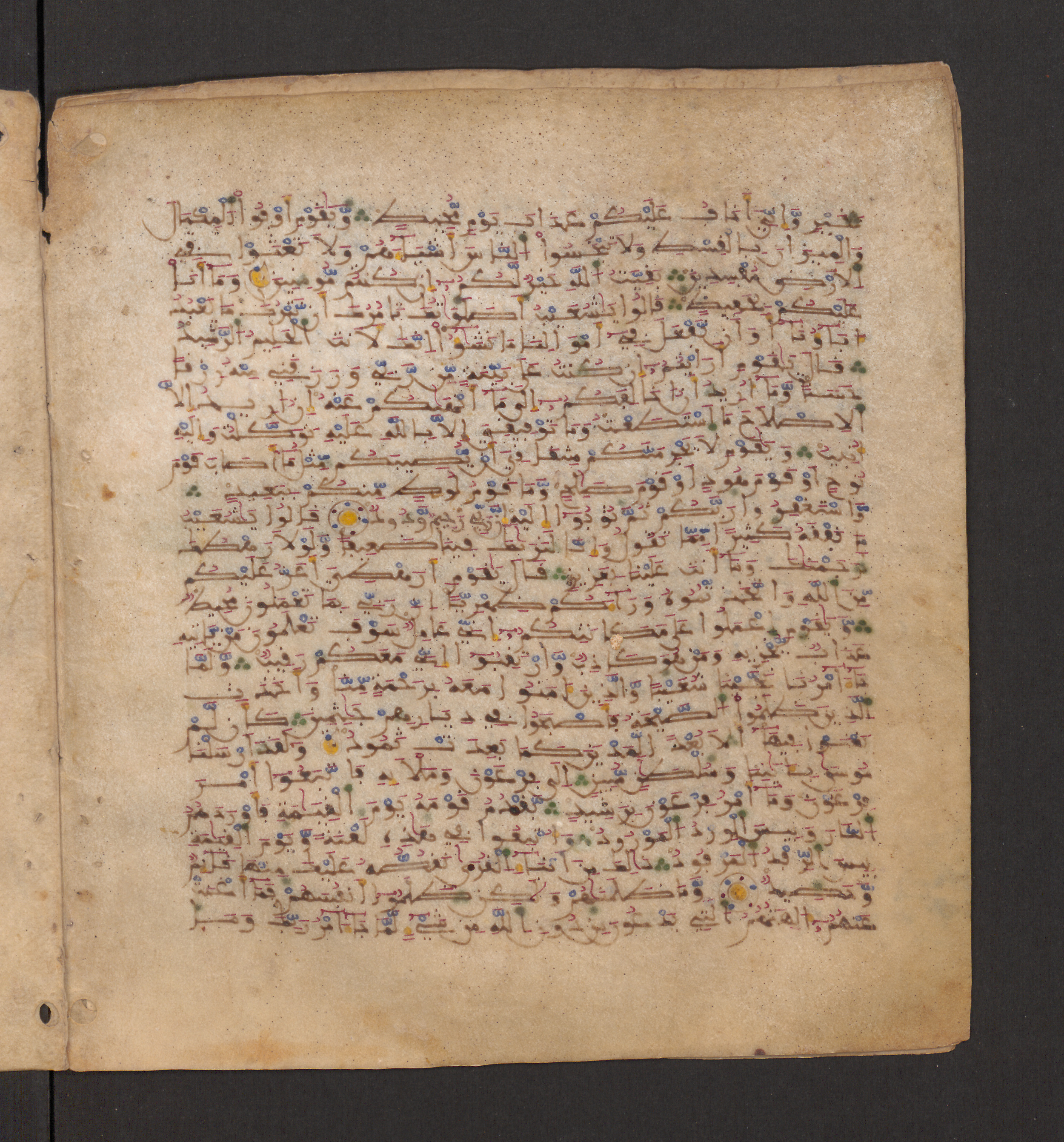 Doha, Qatar National Library, HC.MS.00715, in Maġribī micrography script, showing Surah 11:89 from 11th to 12th Century AD found in Muslim Iberia (al-Andalus), currently housed at Qatar National Library, Doha