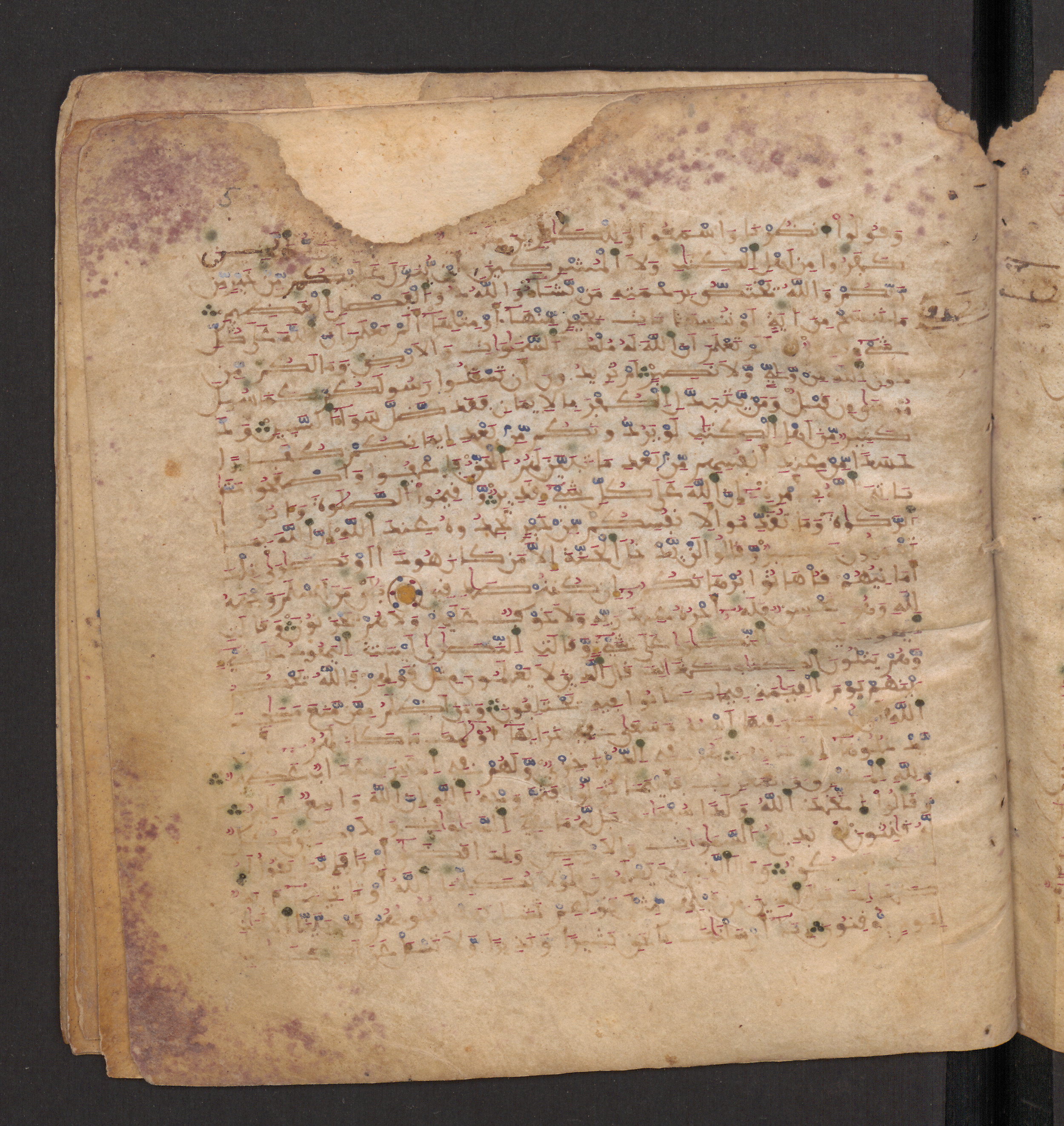 Doha, Qatar National Library, HC.MS.00715, in Maġribī micrography script, showing Surah 2:113 from 11th to 12th Century AD found in Muslim Iberia (al-Andalus), currently housed at Qatar National Library, Doha