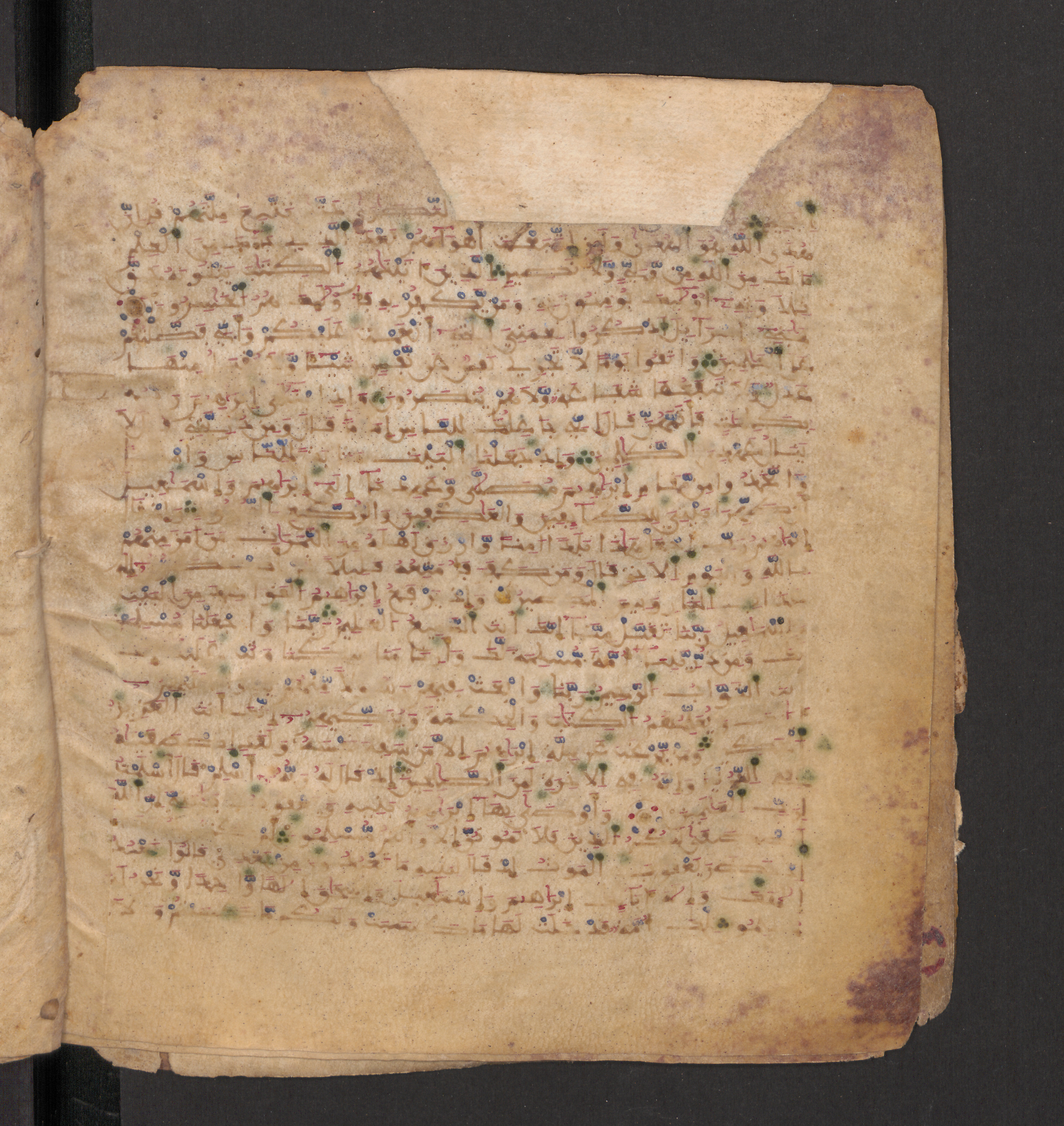Doha, Qatar National Library, HC.MS.00715, in Maġribī micrography script, showing Surah 2:124 from 11th to 12th Century AD found in Muslim Iberia (al-Andalus), currently housed at Qatar National Library, Doha