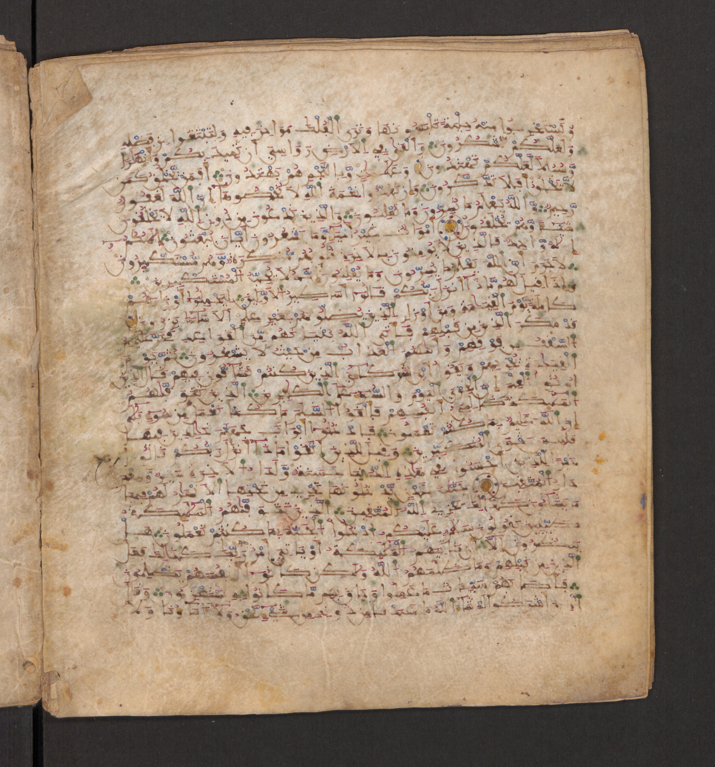 Doha, Qatar National Library, HC.MS.00715, in Maġribī micrography script, showing Surah 16:21 from 11th to 12th Century AD found in Muslim Iberia (al-Andalus), currently housed at Qatar National Library, Doha