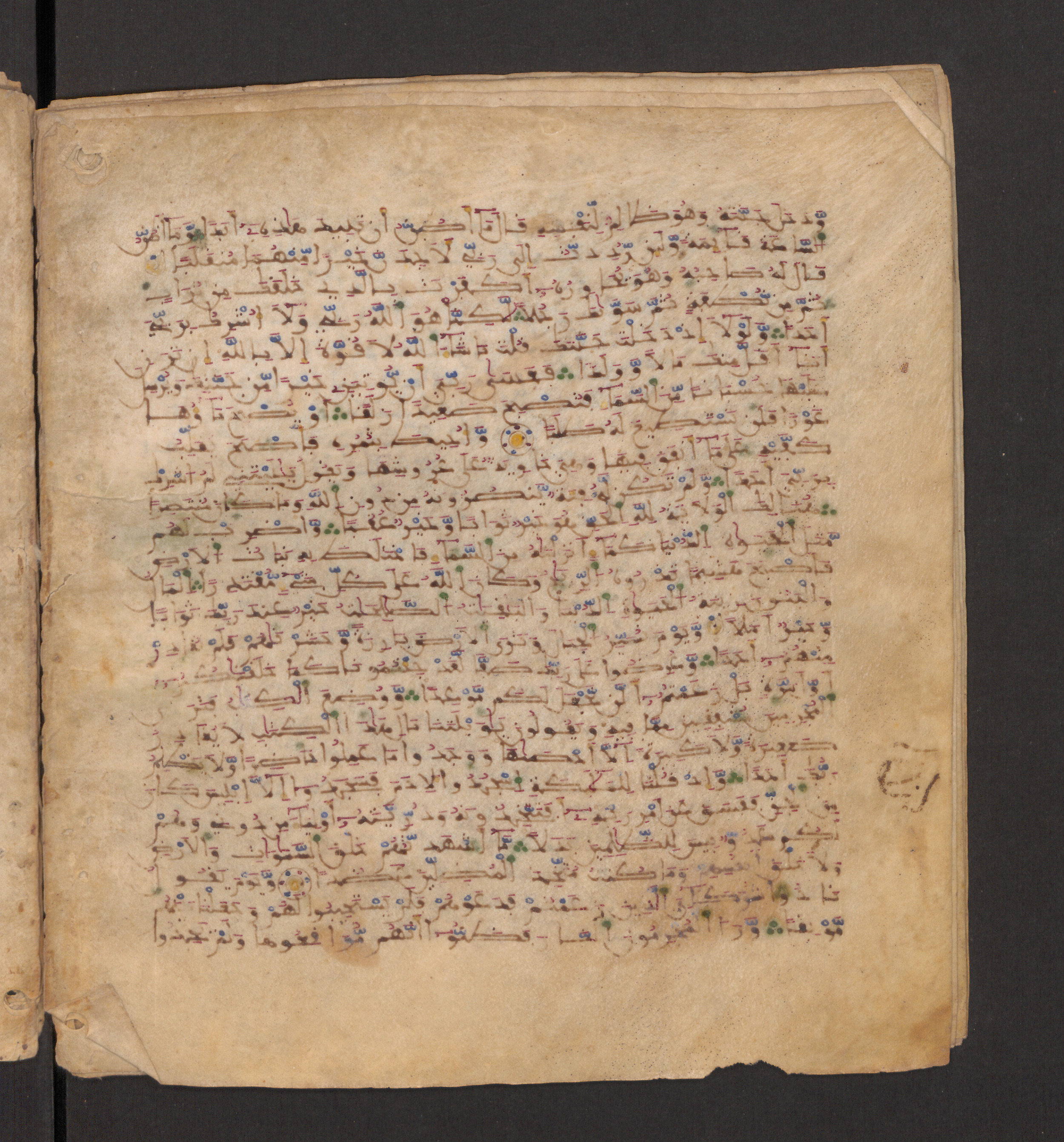 Doha, Qatar National Library, HC.MS.00715, in Maġribī micrography script, showing Surah 18:39 from 11th to 12th Century AD found in Muslim Iberia (al-Andalus), currently housed at Qatar National Library, Doha