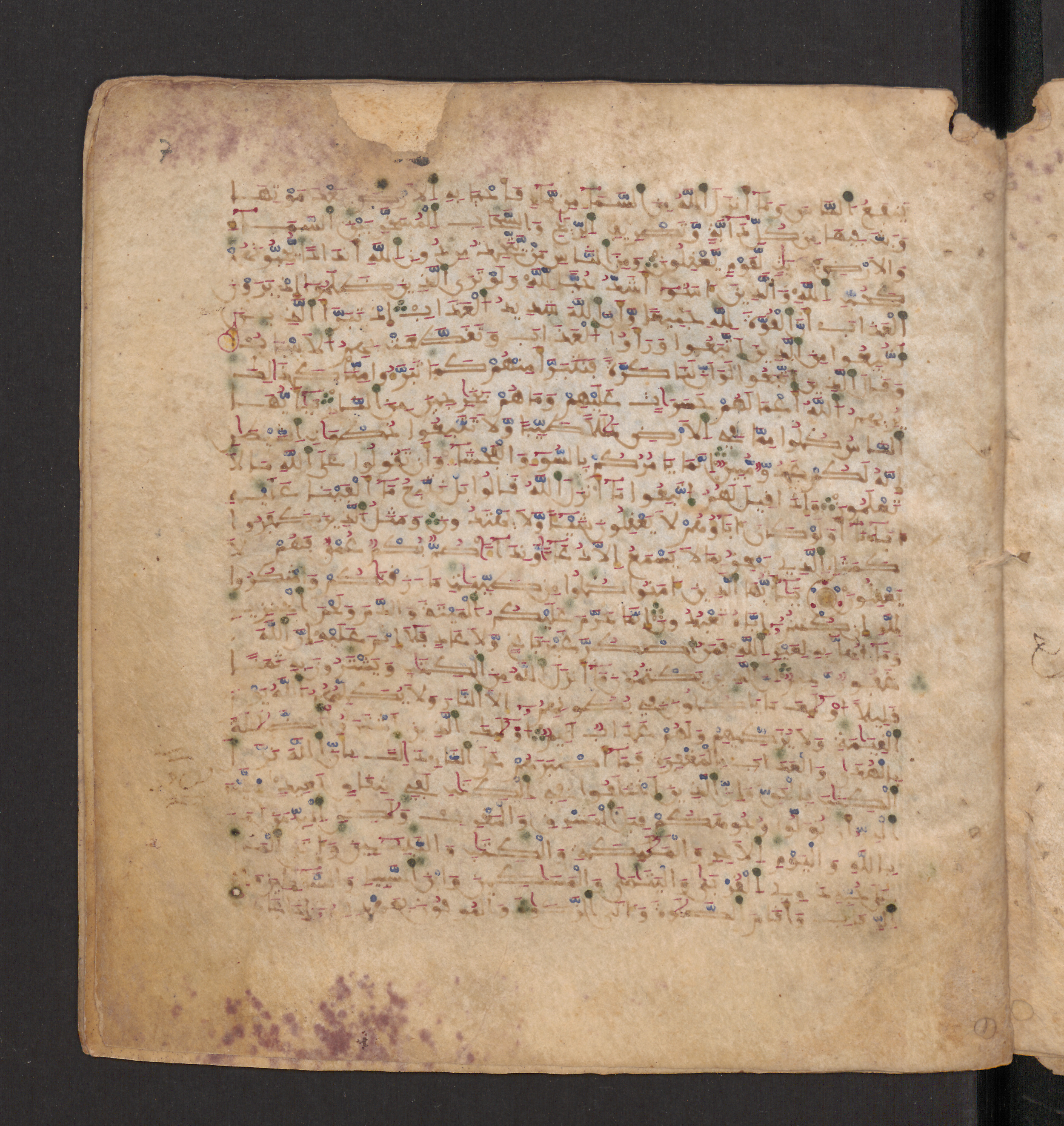 Doha, Qatar National Library, HC.MS.00715, in Maġribī micrography script, showing Surah 2:175 from 11th to 12th Century AD found in Muslim Iberia (al-Andalus), currently housed at Qatar National Library, Doha