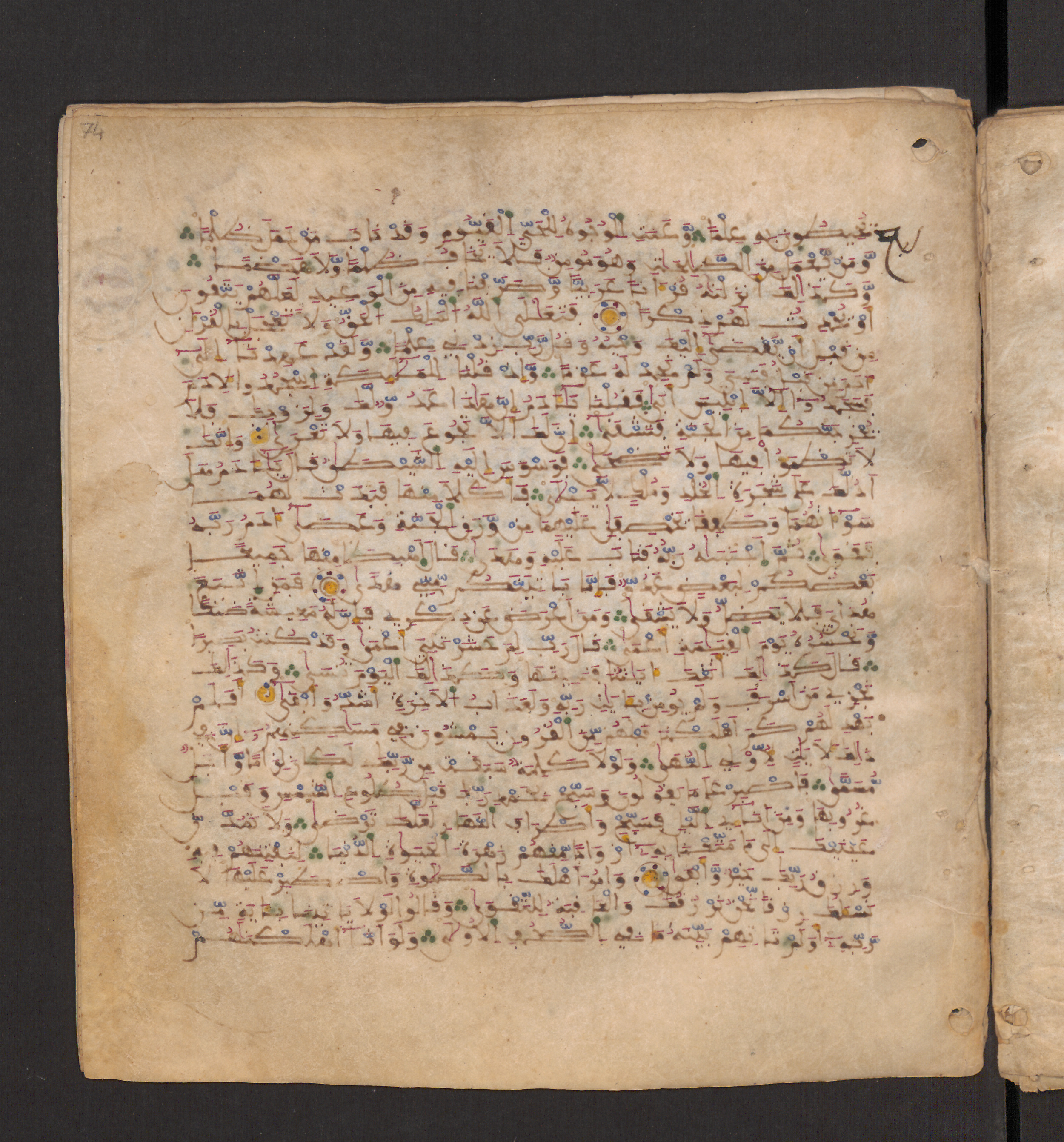 Doha, Qatar National Library, HC.MS.00715, in Maġribī micrography script, showing Surah 20:113 from 11th to 12th Century AD found in Muslim Iberia (al-Andalus), currently housed at Qatar National Library, Doha