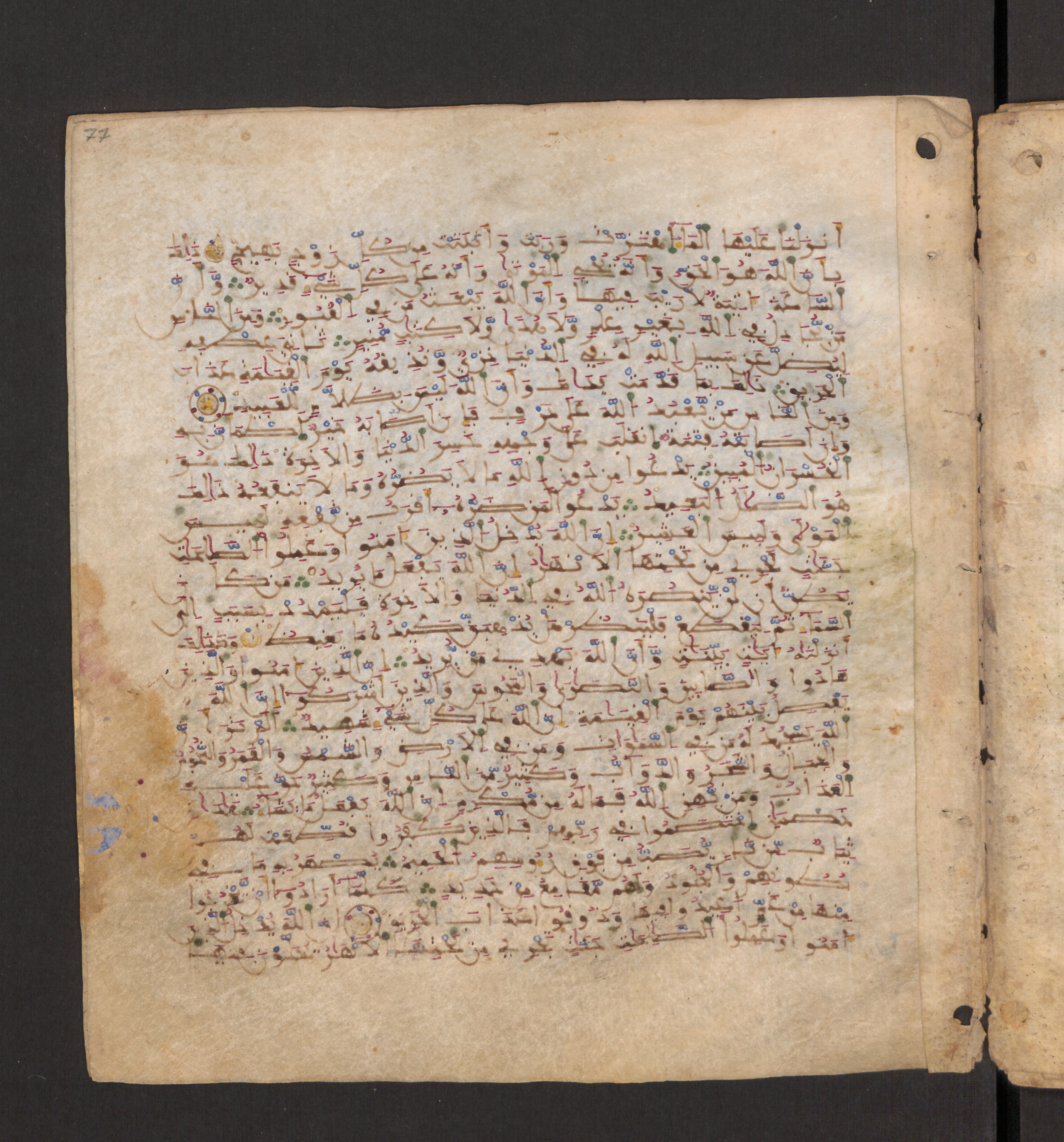 Doha, Qatar National Library, HC.MS.00715, in Maġribī micrography script, showing Surah 22:21 from 11th to 12th Century AD found in Muslim Iberia (al-Andalus), currently housed at Qatar National Library, Doha