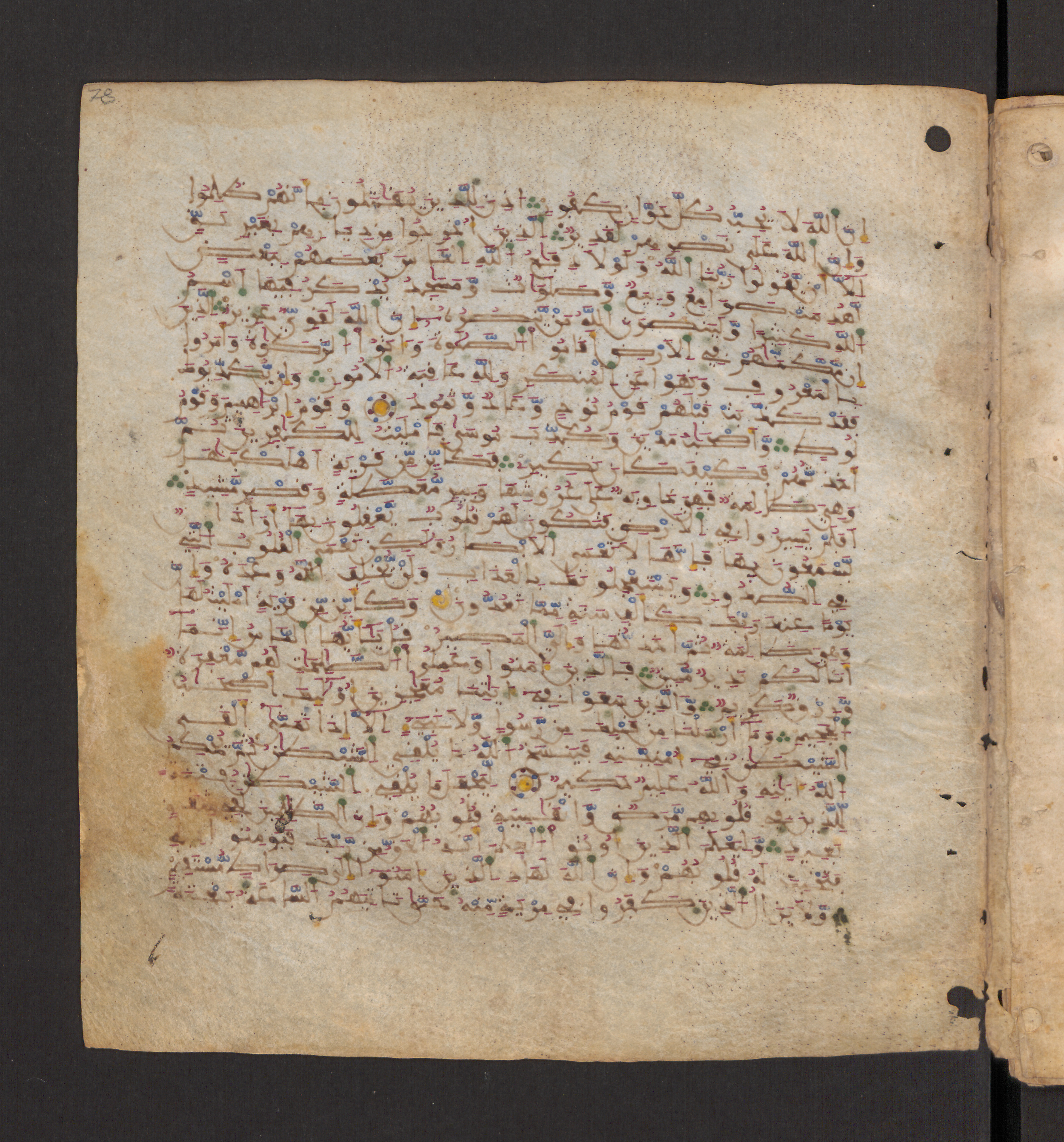 Doha, Qatar National Library, HC.MS.00715, in Maġribī micrography script, showing Surah 22:39 from 11th to 12th Century AD found in Muslim Iberia (al-Andalus), currently housed at Qatar National Library, Doha