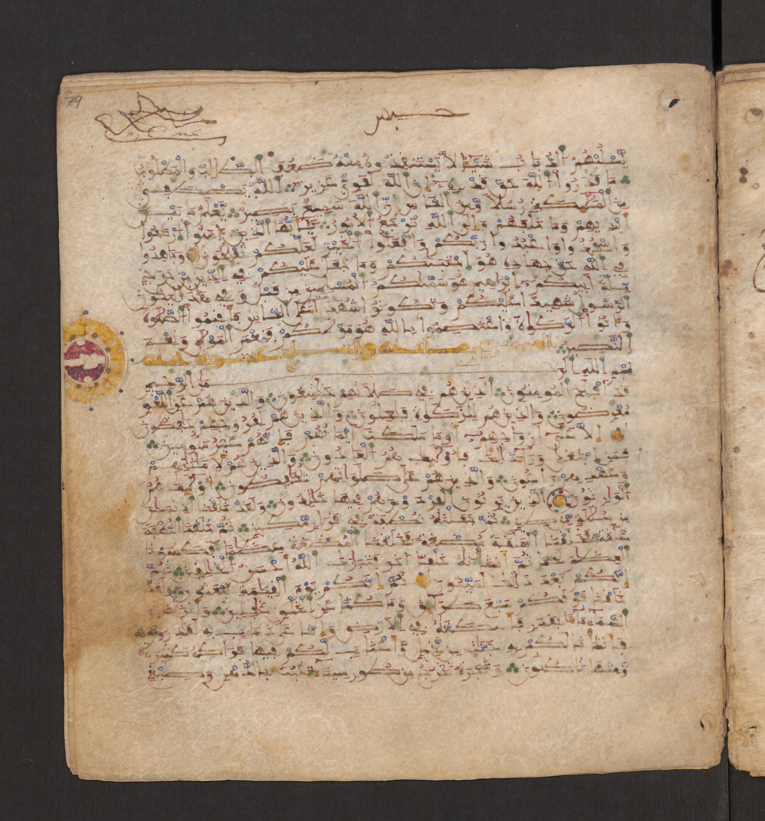 Doha, Qatar National Library, HC.MS.00715, in Maġribī micrography script, showing Surah 23:13 from 11th to 12th Century AD found in Muslim Iberia (al-Andalus), currently housed at Qatar National Library, Doha