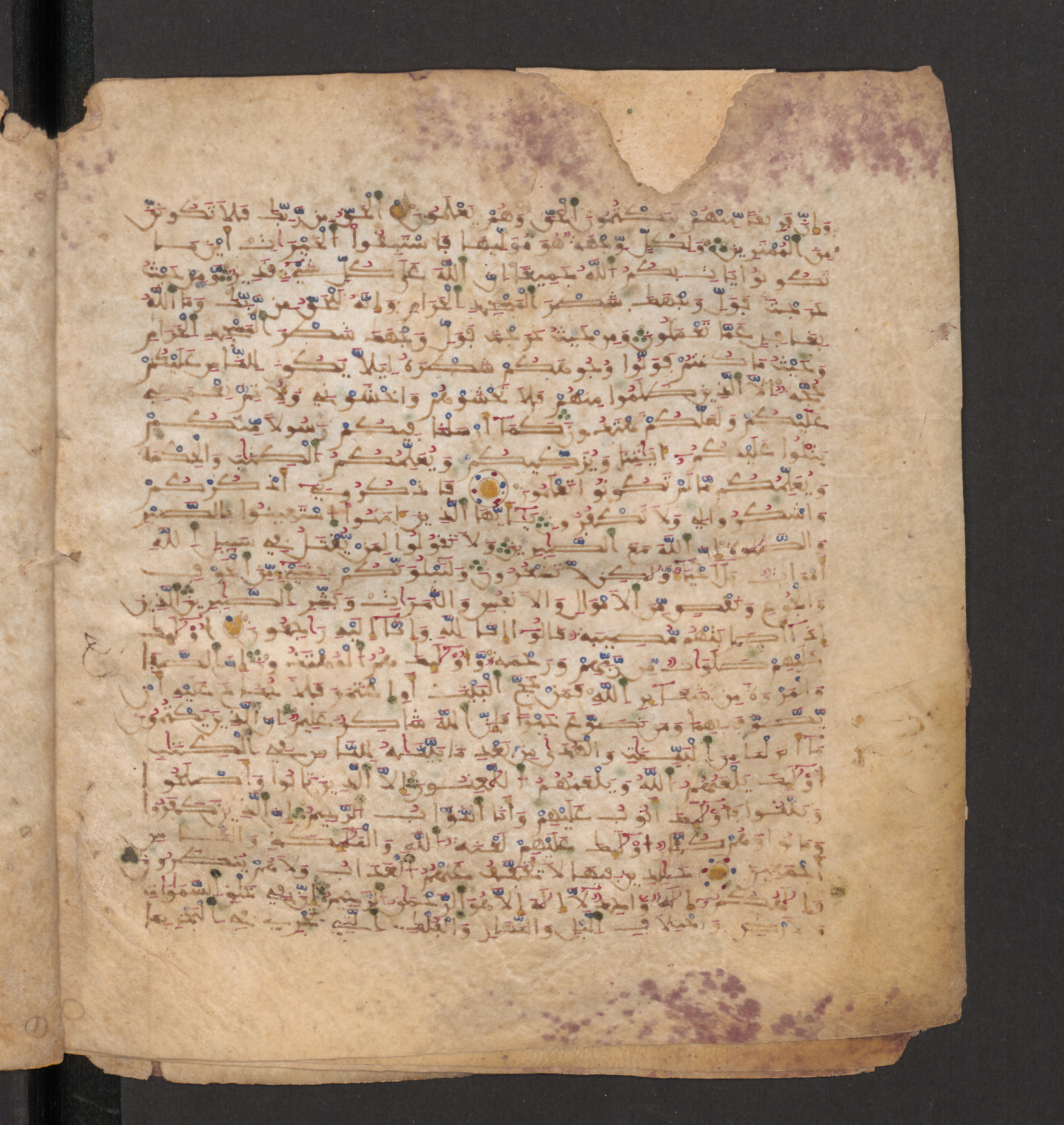 Doha, Qatar National Library, HC.MS.00715, in Maġribī micrography script, showing Surah 2:151 from 11th to 12th Century AD found in Muslim Iberia (al-Andalus), currently housed at Qatar National Library, Doha