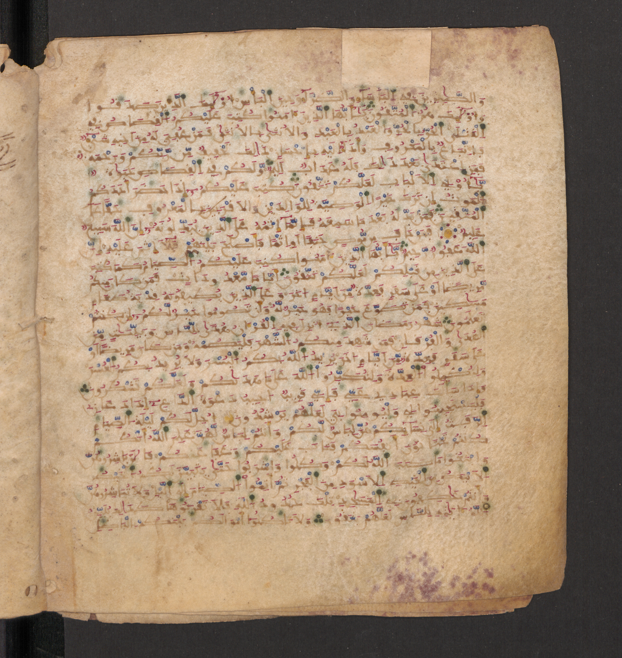 Doha, Qatar National Library, HC.MS.00715, in Maġribī micrography script, showing Surah 2:183 from 11th to 12th Century AD found in Muslim Iberia (al-Andalus), currently housed at Qatar National Library, Doha