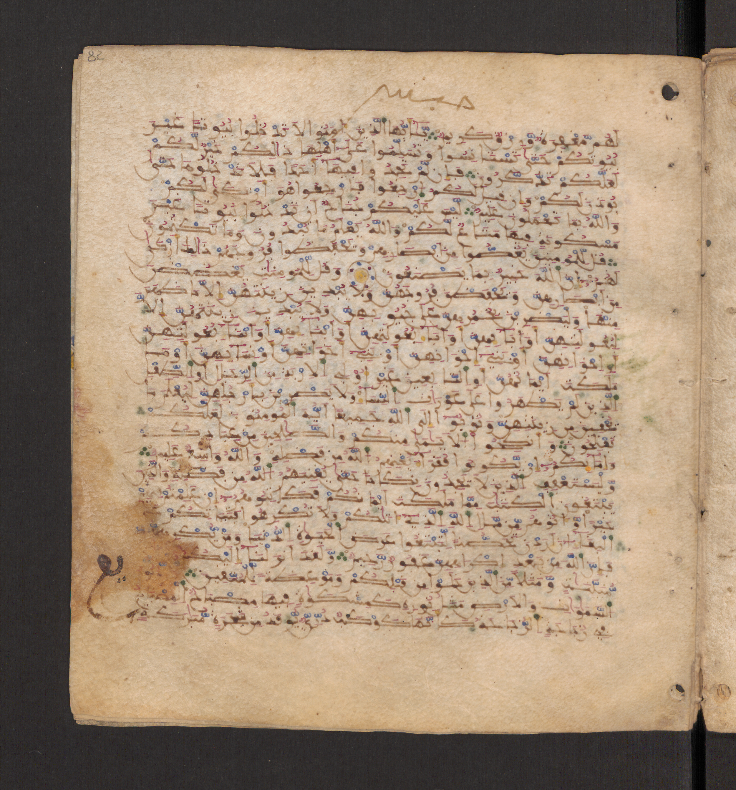 Doha, Qatar National Library, HC.MS.00715, in Maġribī micrography script, showing Surah 24:32 from 11th to 12th Century AD found in Muslim Iberia (al-Andalus), currently housed at Qatar National Library, Doha