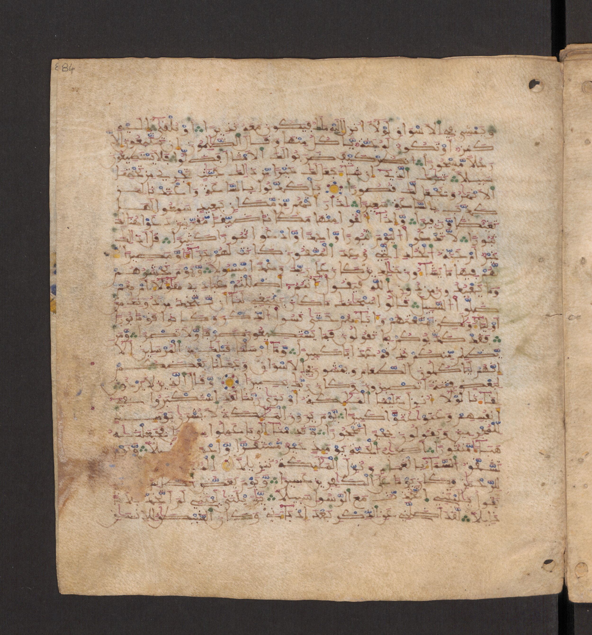 Doha, Qatar National Library, HC.MS.00715, in Maġribī micrography script, showing Surah 25:21 from 11th to 12th Century AD found in Muslim Iberia (al-Andalus), currently housed at Qatar National Library, Doha