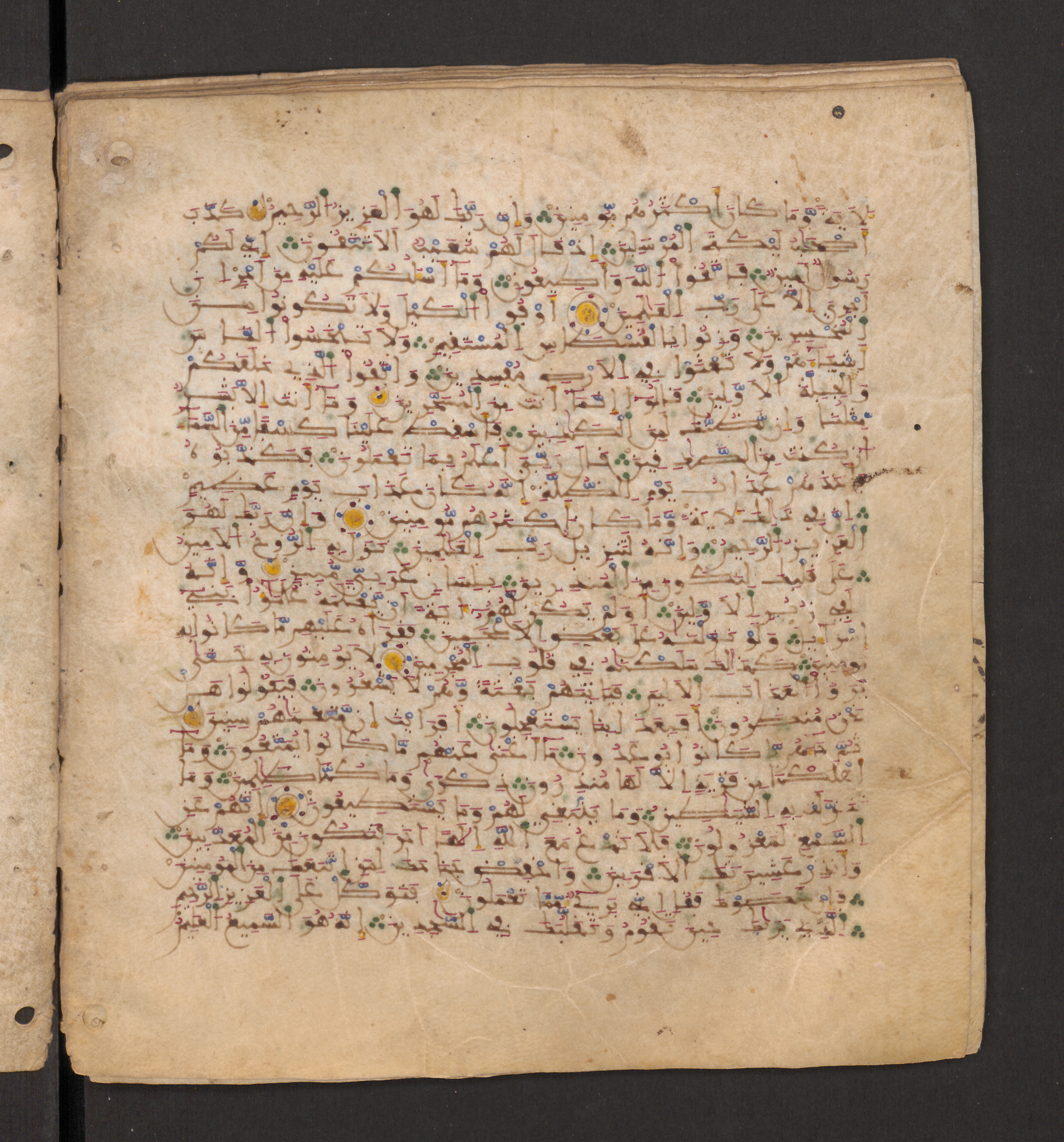 Doha, Qatar National Library, HC.MS.00715, in Maġribī micrography script, showing Surah 26:175 from 11th to 12th Century AD found in Muslim Iberia (al-Andalus), currently housed at Qatar National Library, Doha