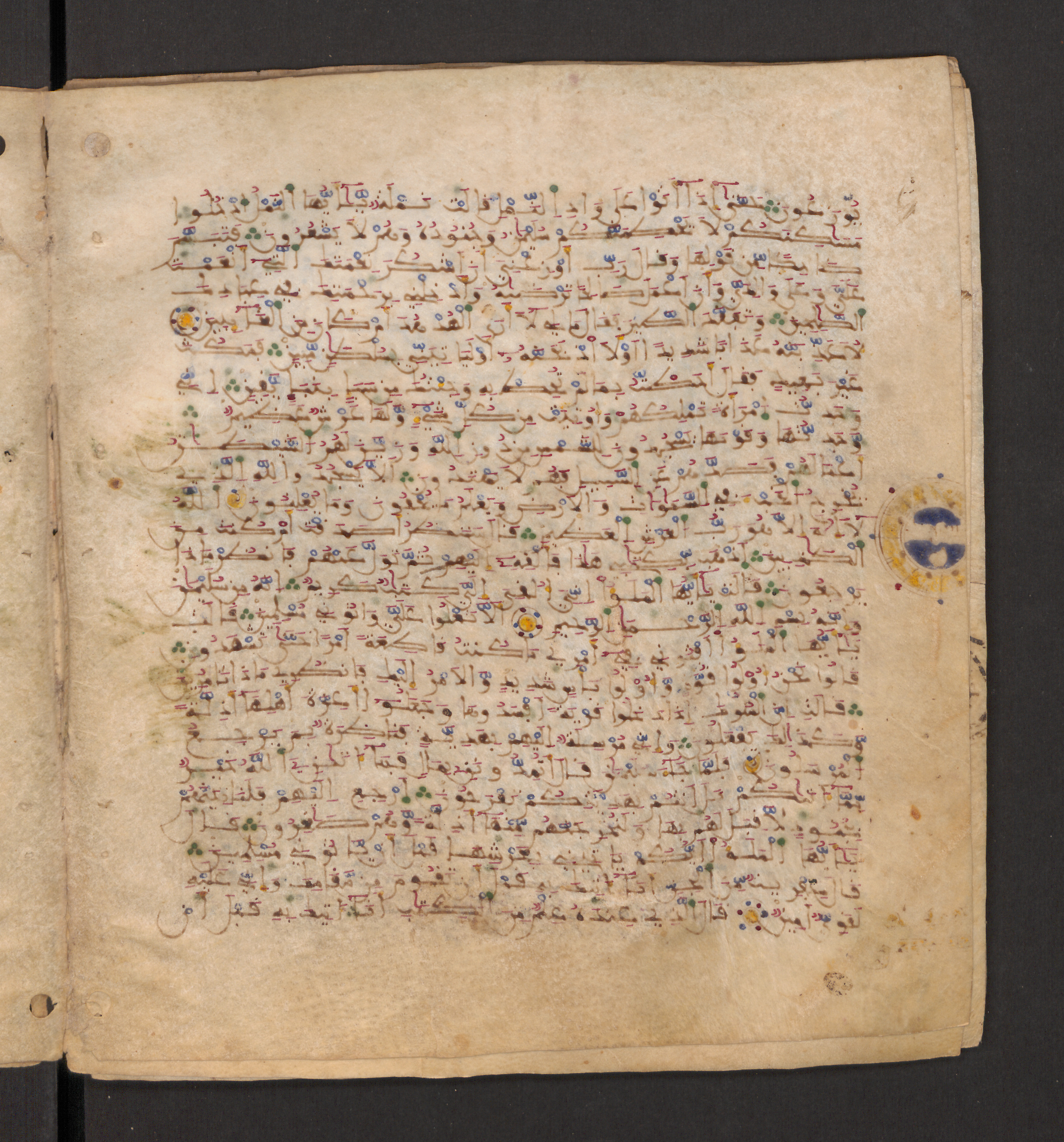 Doha, Qatar National Library, HC.MS.00715, in Maġribī micrography script, showing Surah 27:21 from 11th to 12th Century AD found in Muslim Iberia (al-Andalus), currently housed at Qatar National Library, Doha