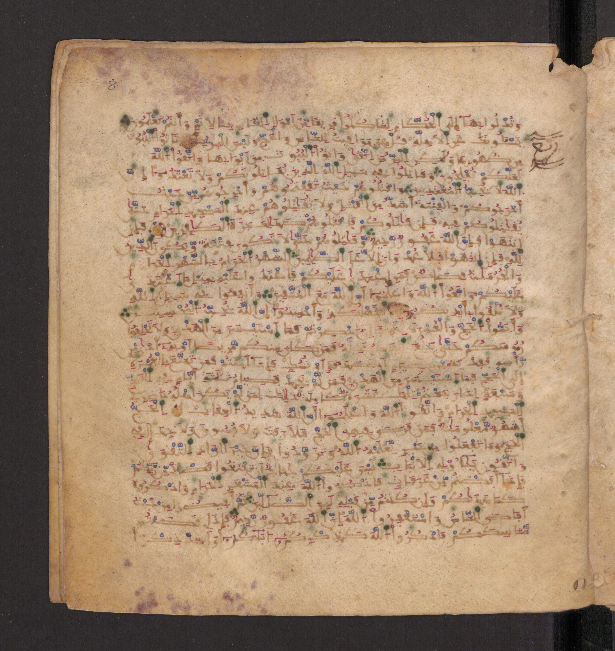 Doha, Qatar National Library, HC.MS.00715, in Maġribī micrography script, showing Surah 2:199 from 11th to 12th Century AD found in Muslim Iberia (al-Andalus), currently housed at Qatar National Library, Doha