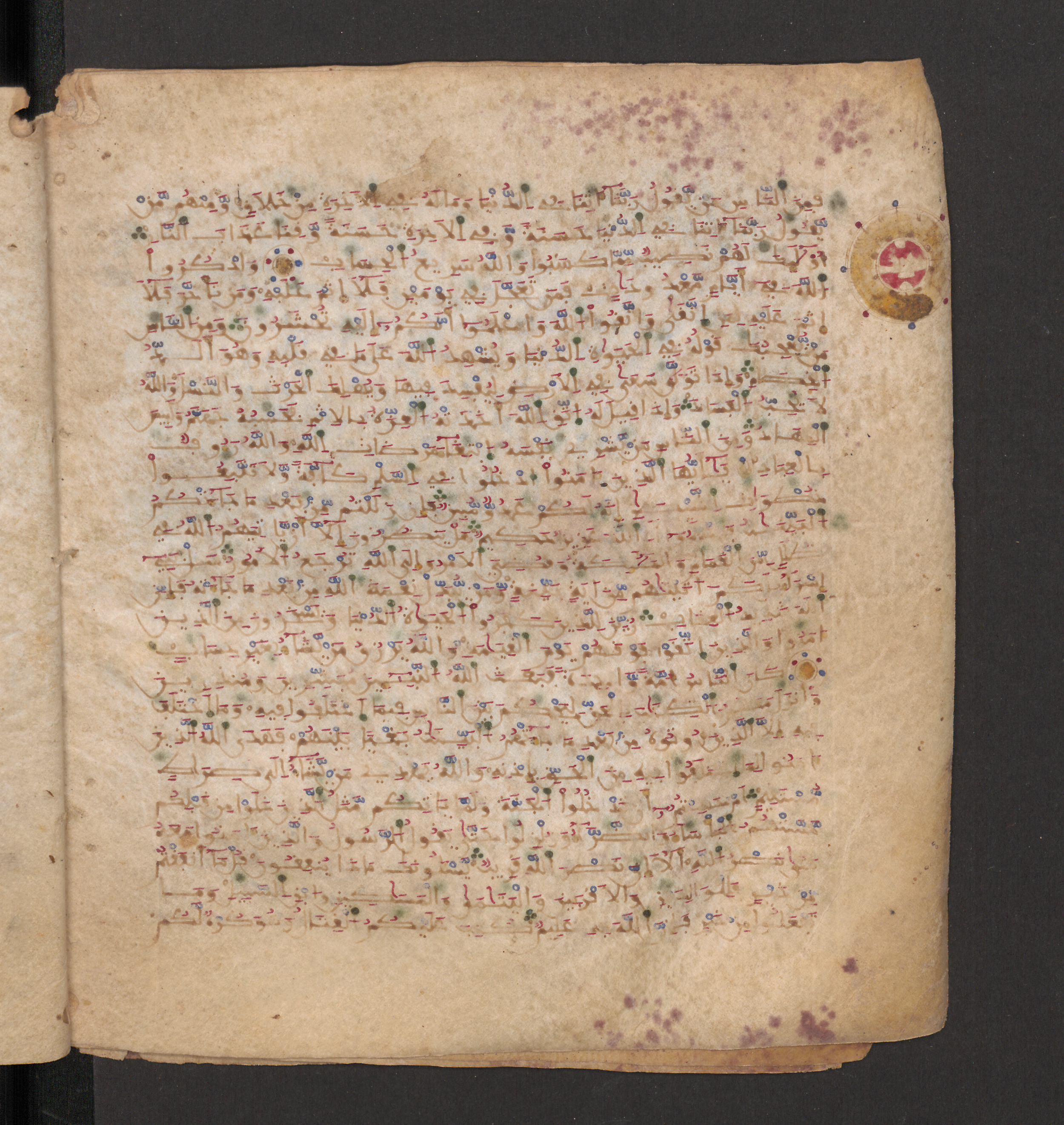 Doha, Qatar National Library, HC.MS.00715, in Maġribī micrography script, showing Surah 2:201 from 11th to 12th Century AD found in Muslim Iberia (al-Andalus), currently housed at Qatar National Library, Doha