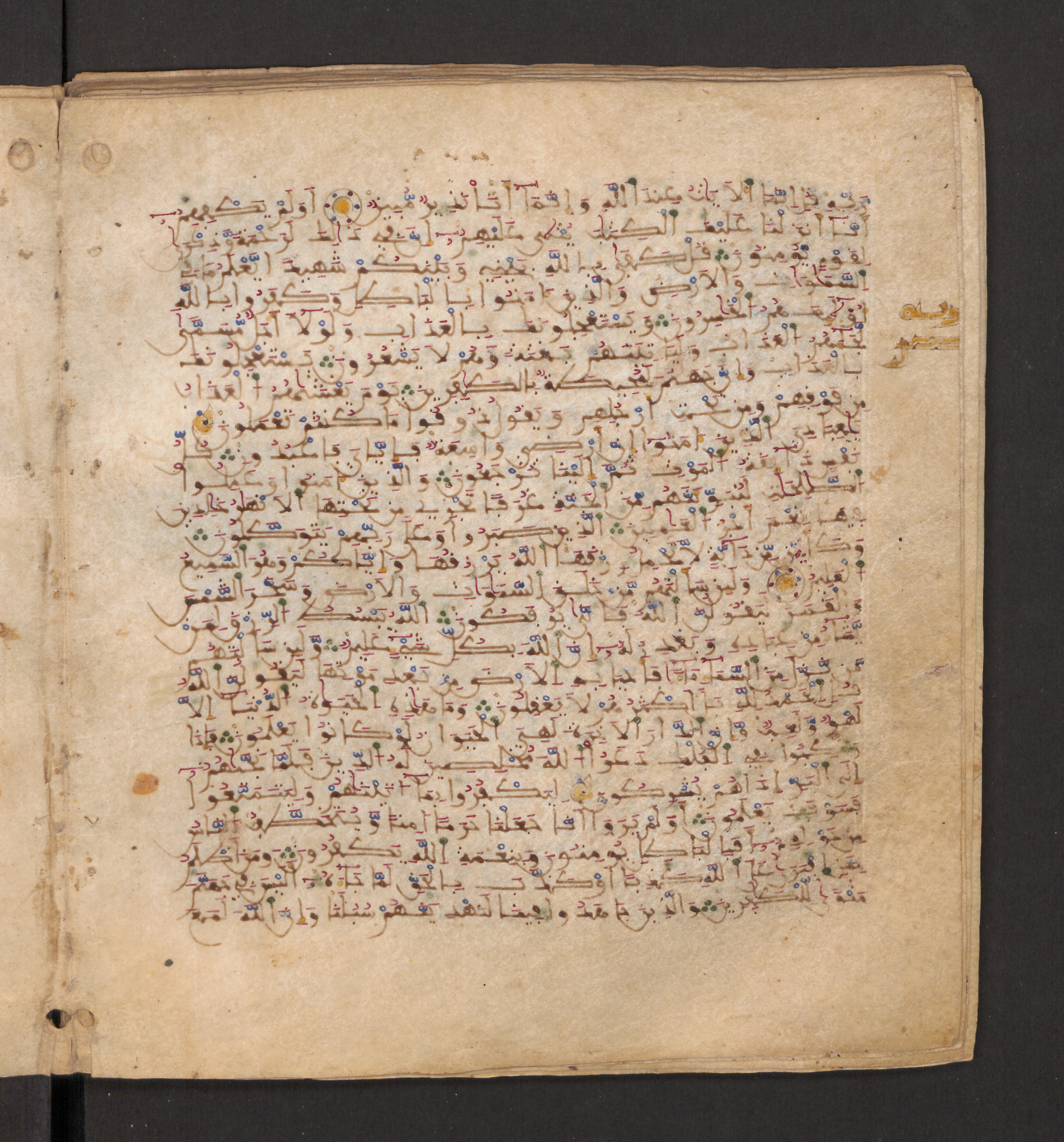 Doha, Qatar National Library, HC.MS.00715, in Maġribī micrography script, showing Surah 29:64 from 11th to 12th Century AD found in Muslim Iberia (al-Andalus), currently housed at Qatar National Library, Doha