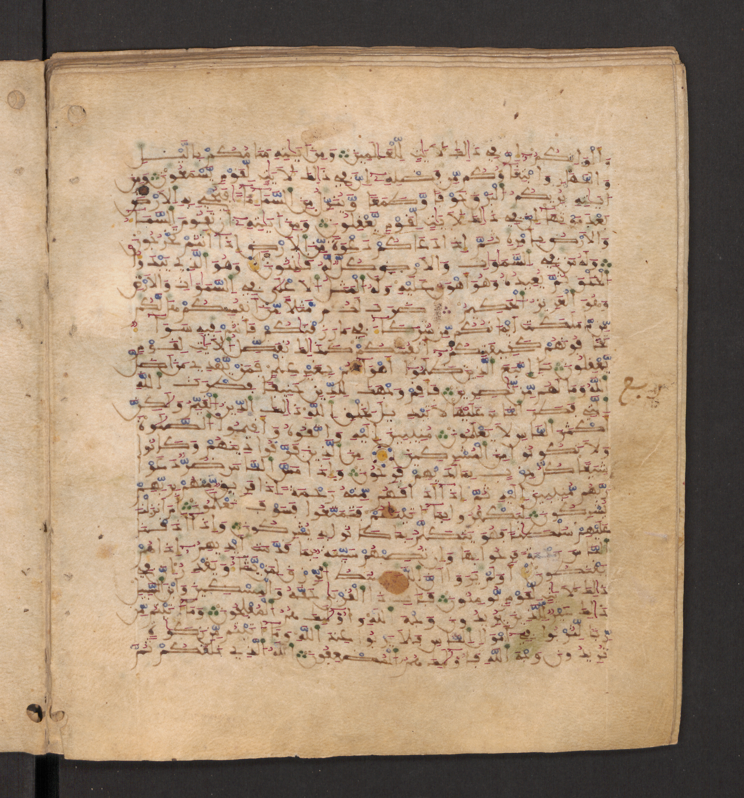 Doha, Qatar National Library, HC.MS.00715, in Maġribī micrography script, showing Surah 30:32 from 11th to 12th Century AD found in Muslim Iberia (al-Andalus), currently housed at Qatar National Library, Doha