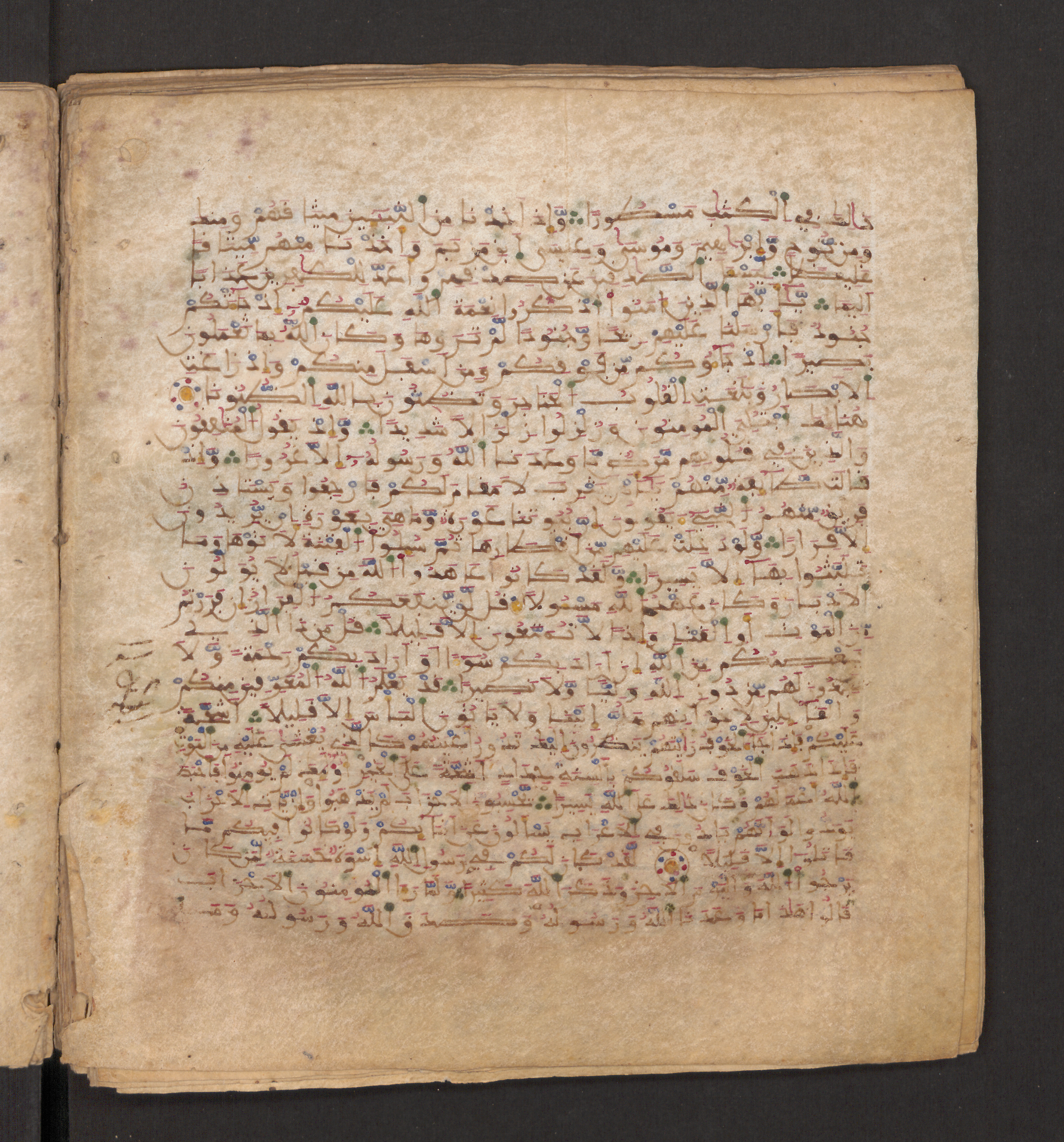 Doha, Qatar National Library, HC.MS.00715, in Maġribī micrography script, showing Surah 33:13 from 11th to 12th Century AD found in Muslim Iberia (al-Andalus), currently housed at Qatar National Library, Doha