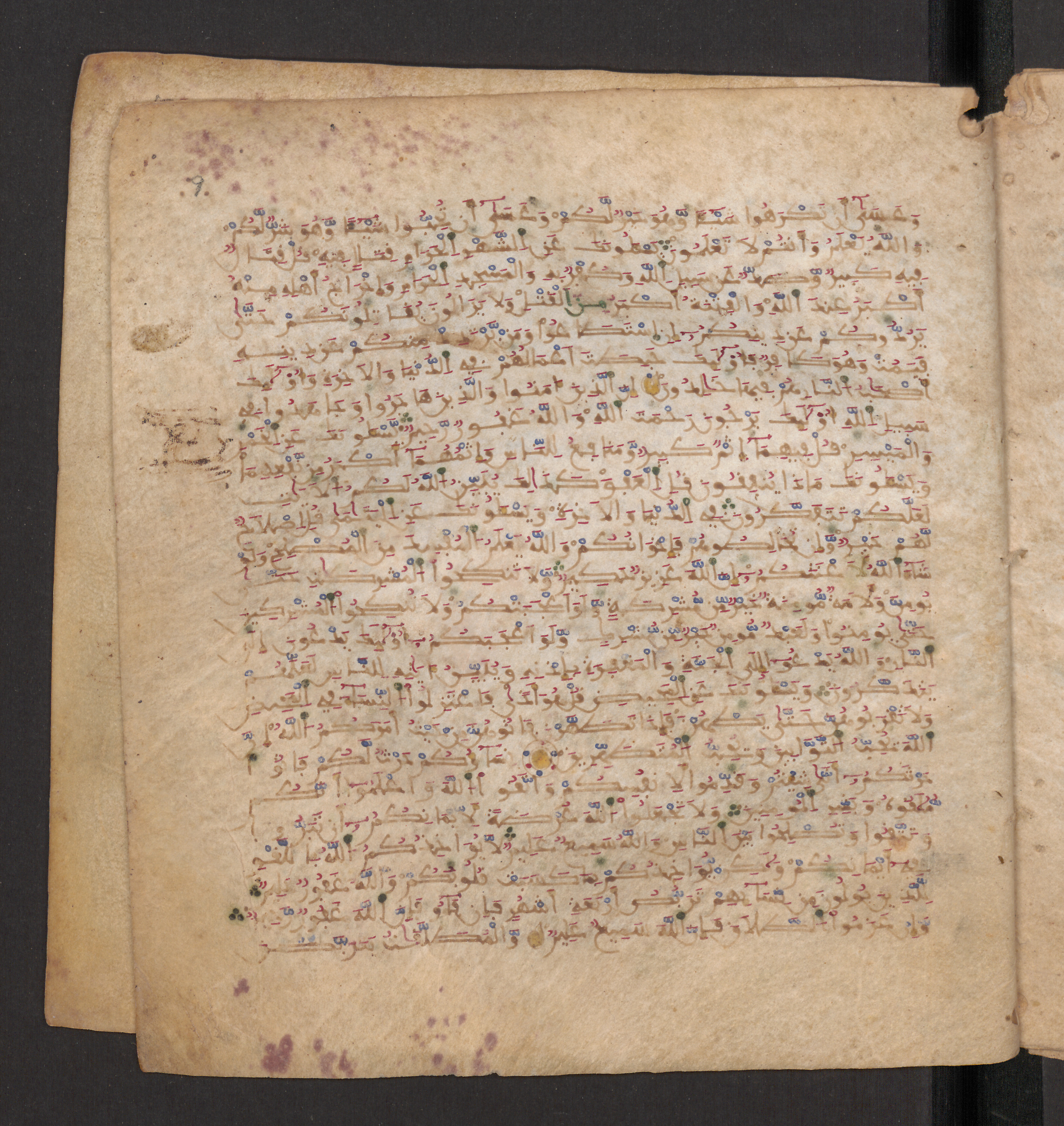 Doha, Qatar National Library, HC.MS.00715, in Maġribī micrography script, showing Surah 2:217 from 11th to 12th Century AD found in Muslim Iberia (al-Andalus), currently housed at Qatar National Library, Doha