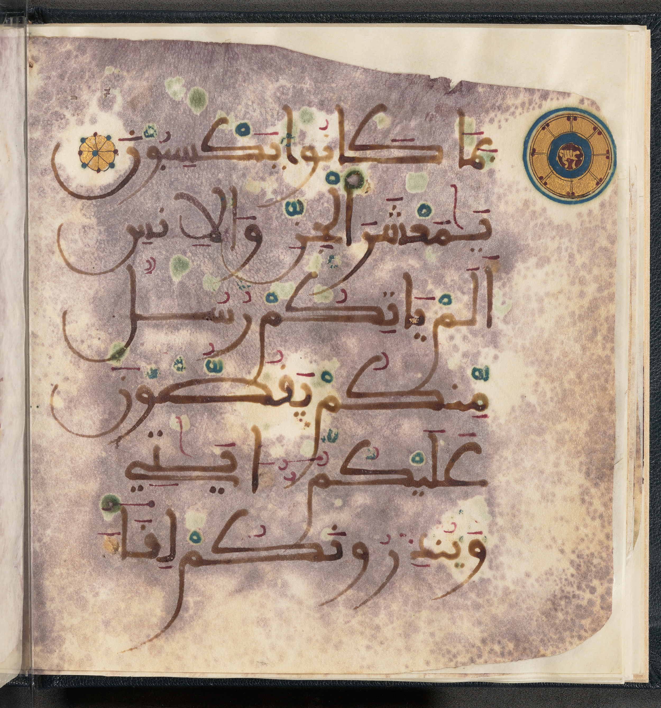 Qatar National Library HC.MS.03150 (Scan 1), in Large Maġribī mabsūṭ script, showing Surah 6:130 from First half of the 14th Century AD found in Northwest Africa (Maghreb) or al-Andalus, currently housed at Qatar National Library, Doha