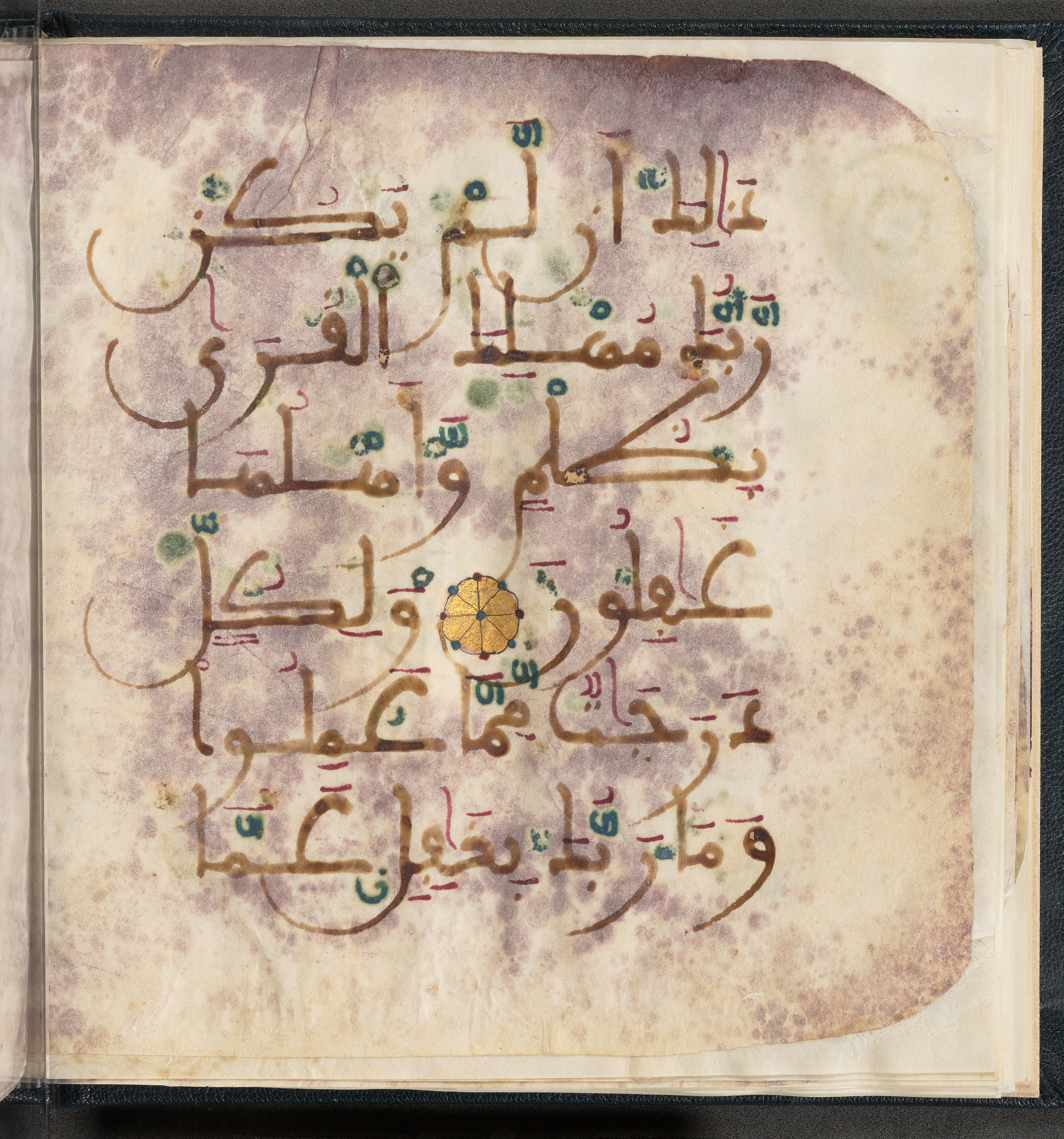 Qatar National Library HC.MS.03150 (Scan 1), in Large Maġribī mabsūṭ script, showing Surah 6:132 from First half of the 14th Century AD found in Northwest Africa (Maghreb) or al-Andalus, currently housed at Qatar National Library, Doha