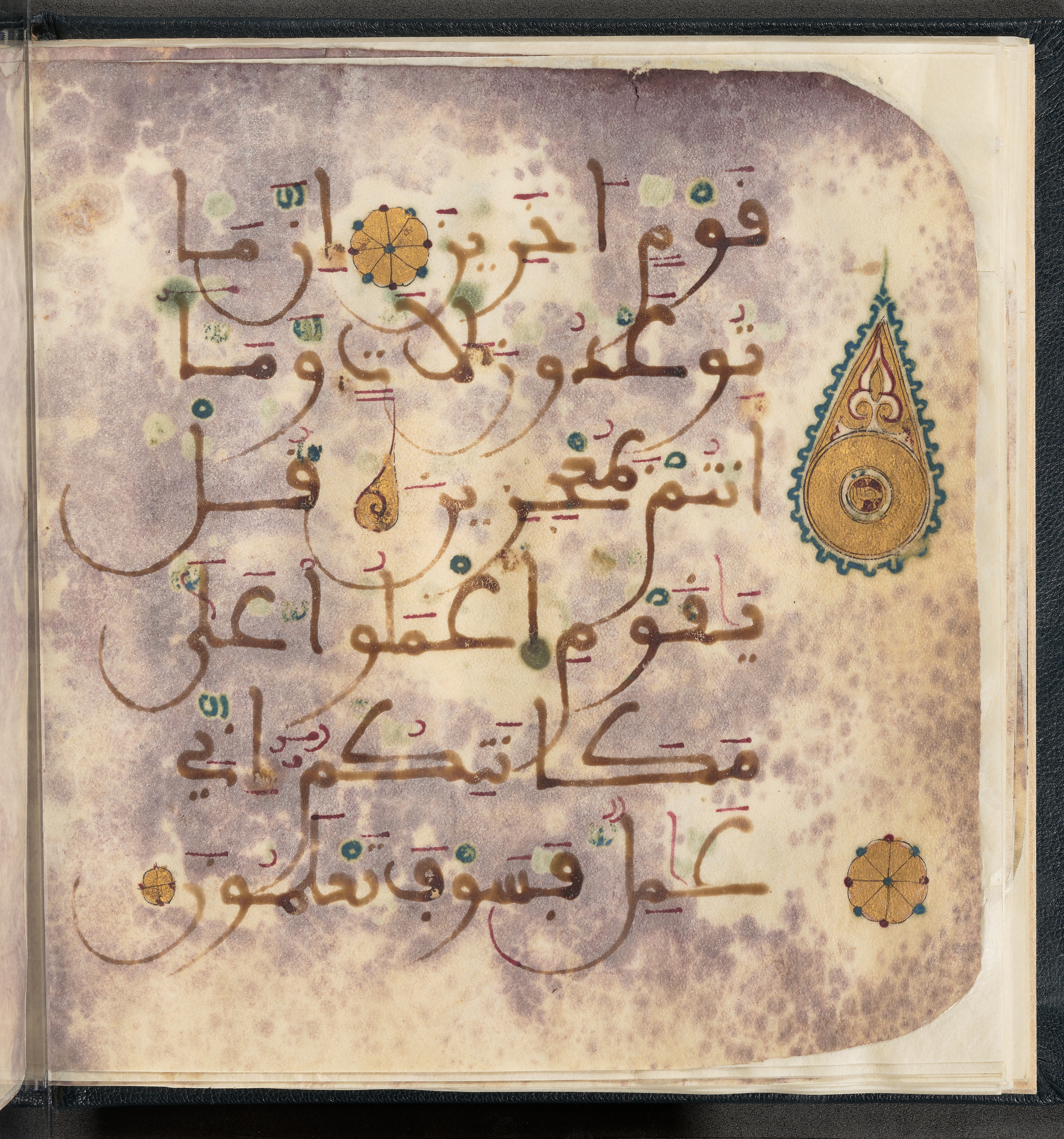 Qatar National Library HC.MS.03150, in Large Maġribī mabsūṭ script, showing Surah 6:134 from First half of the 14th Century AD found in Northwest Africa (Maghreb) or al-Andalus, currently housed at Qatar National Library, Doha