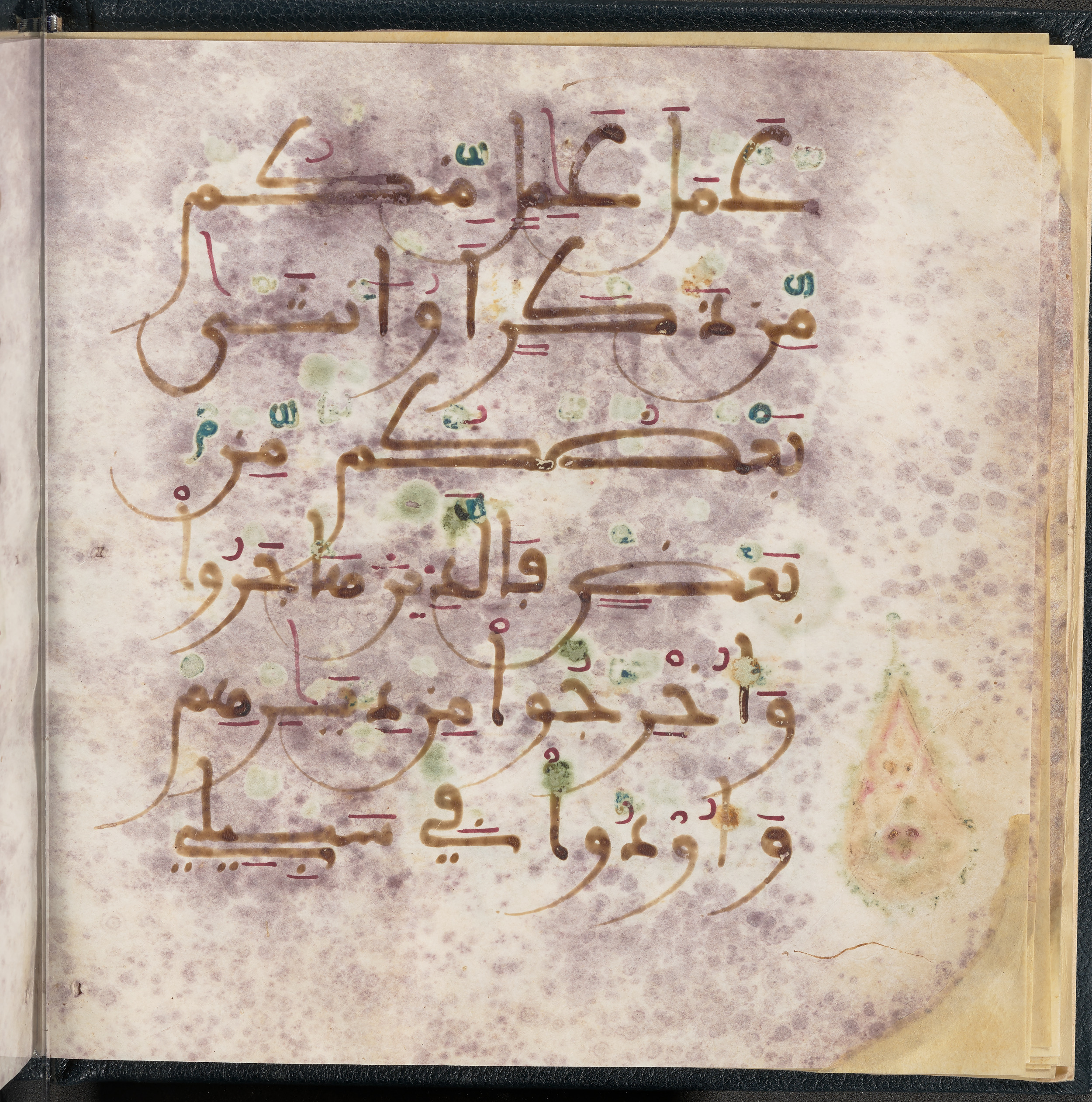 Qatar National Library HC.MS.03150 (Scan 2), in Large Maġribī mabsūṭ script, showing Surah 3:195 from First half of the 14th Century AD found in Northwest Africa (Maghreb) or al-Andalus, currently housed at Qatar National Library, Doha
