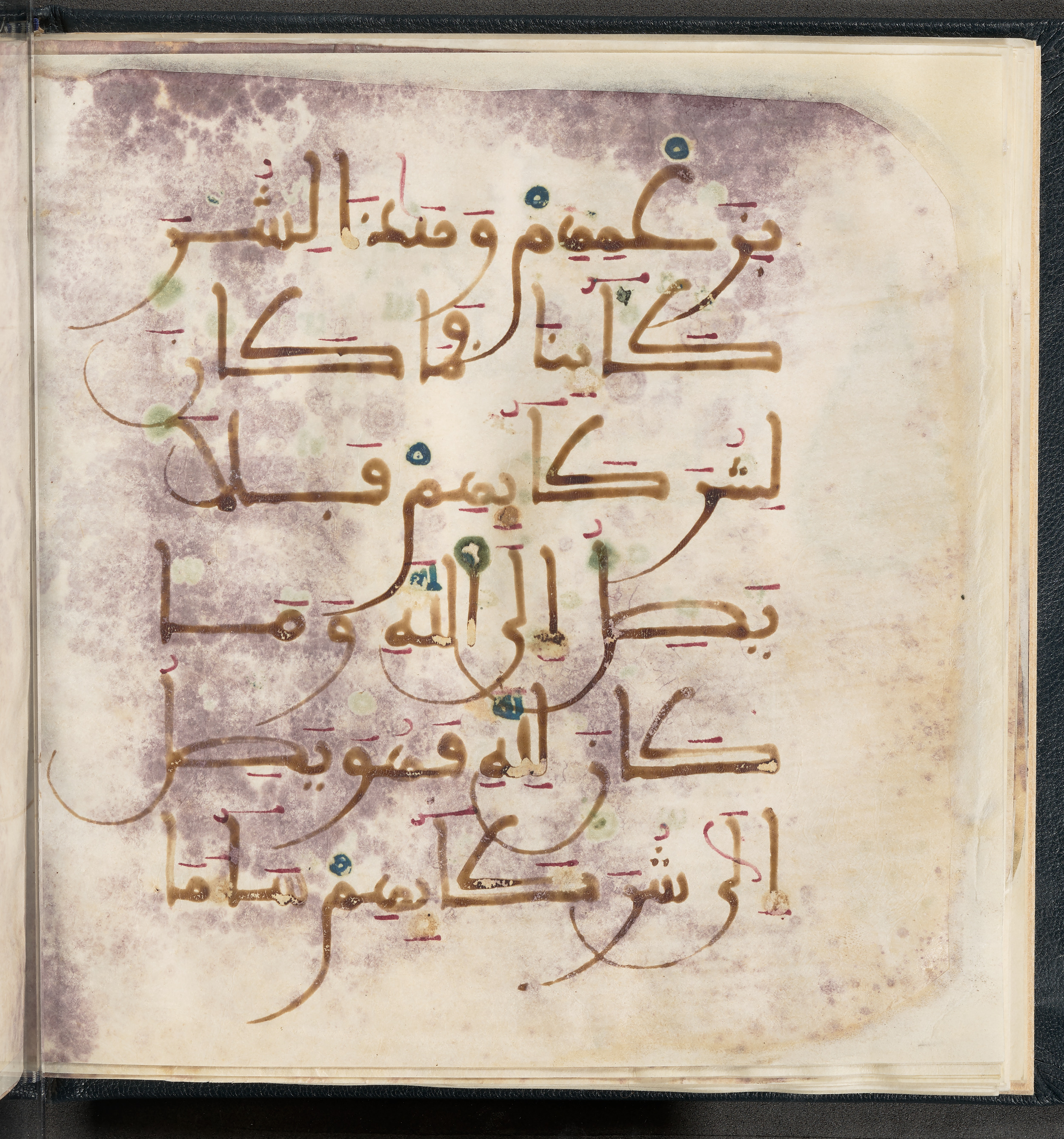 Qatar National Library HC.MS.03150 (Scan 2), in Large Maġribī mabsūṭ script, showing Surah 6:136 from First half of the 14th Century AD found in Northwest Africa (Maghreb) or al-Andalus, currently housed at Qatar National Library, Doha
