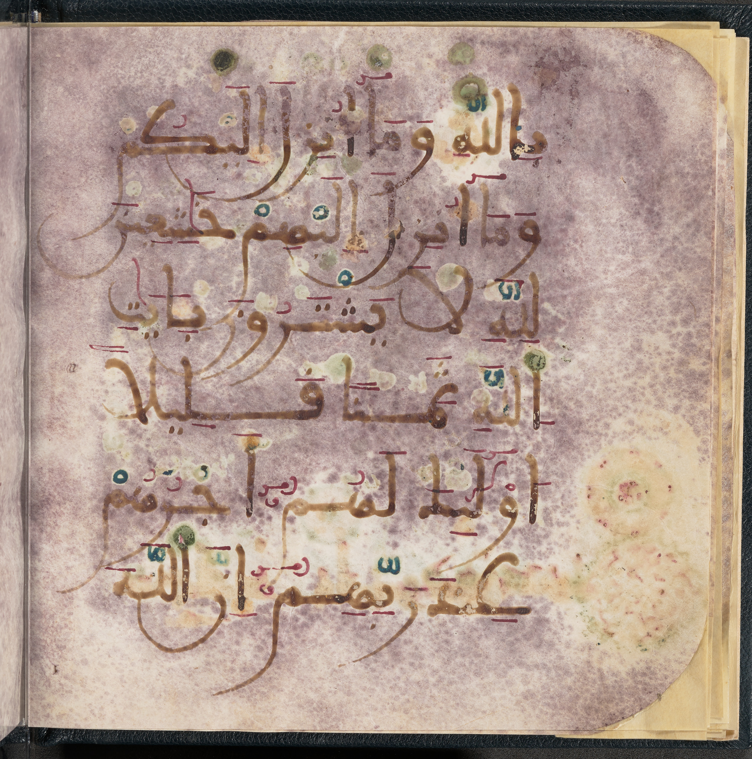 Qatar National Library HC.MS.03150 (Scan 2), in Large Maġribī mabsūṭ script, showing Surah 3:199 from First half of the 14th Century AD found in Northwest Africa (Maghreb) or al-Andalus, currently housed at Qatar National Library, Doha