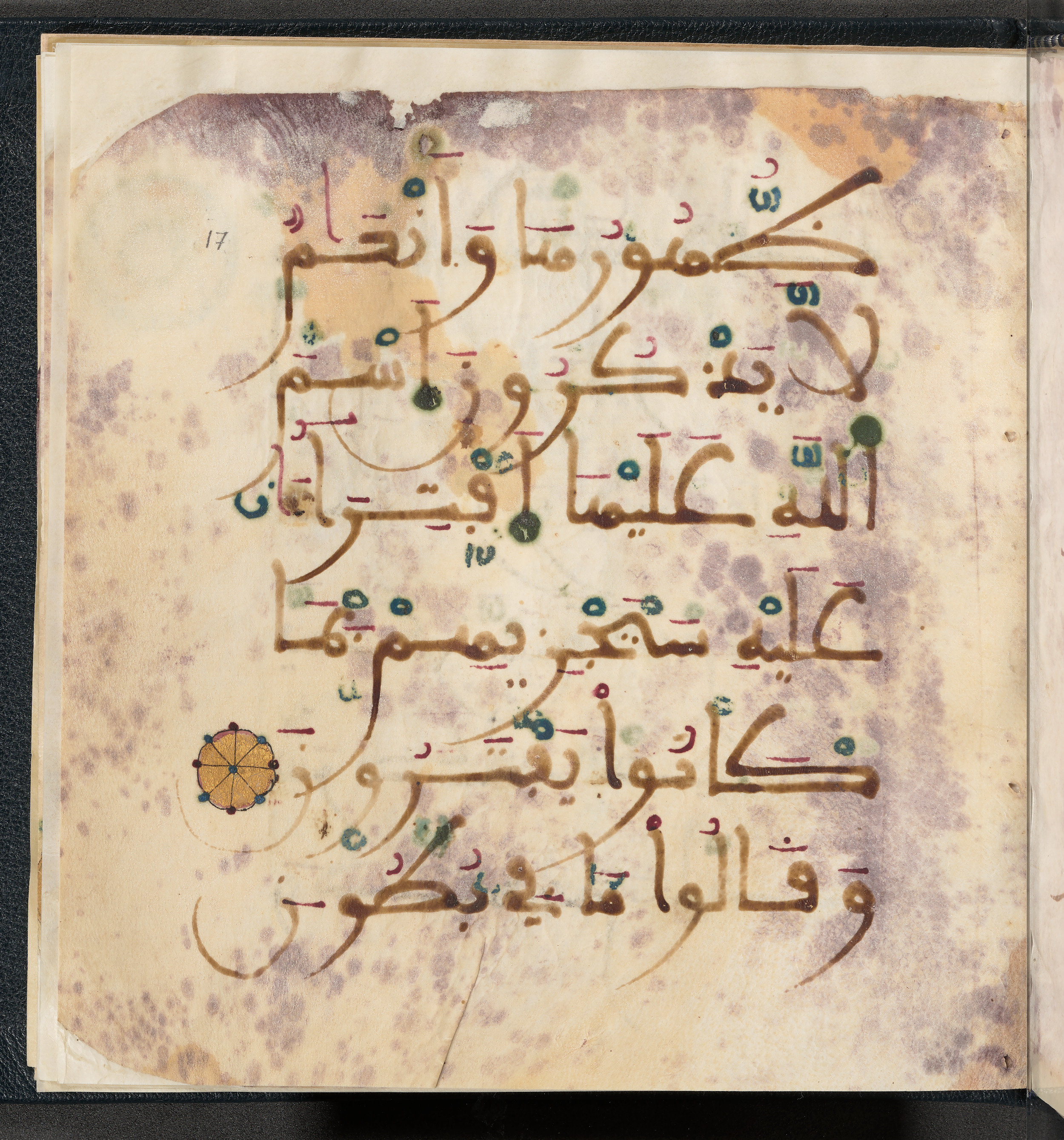 Qatar National Library HC.MS.03150 (Scan 2), in Large Maġribī mabsūṭ script, showing Surah 6:138 from First half of the 14th Century AD found in Northwest Africa (Maghreb) or al-Andalus, currently housed at Qatar National Library, Doha