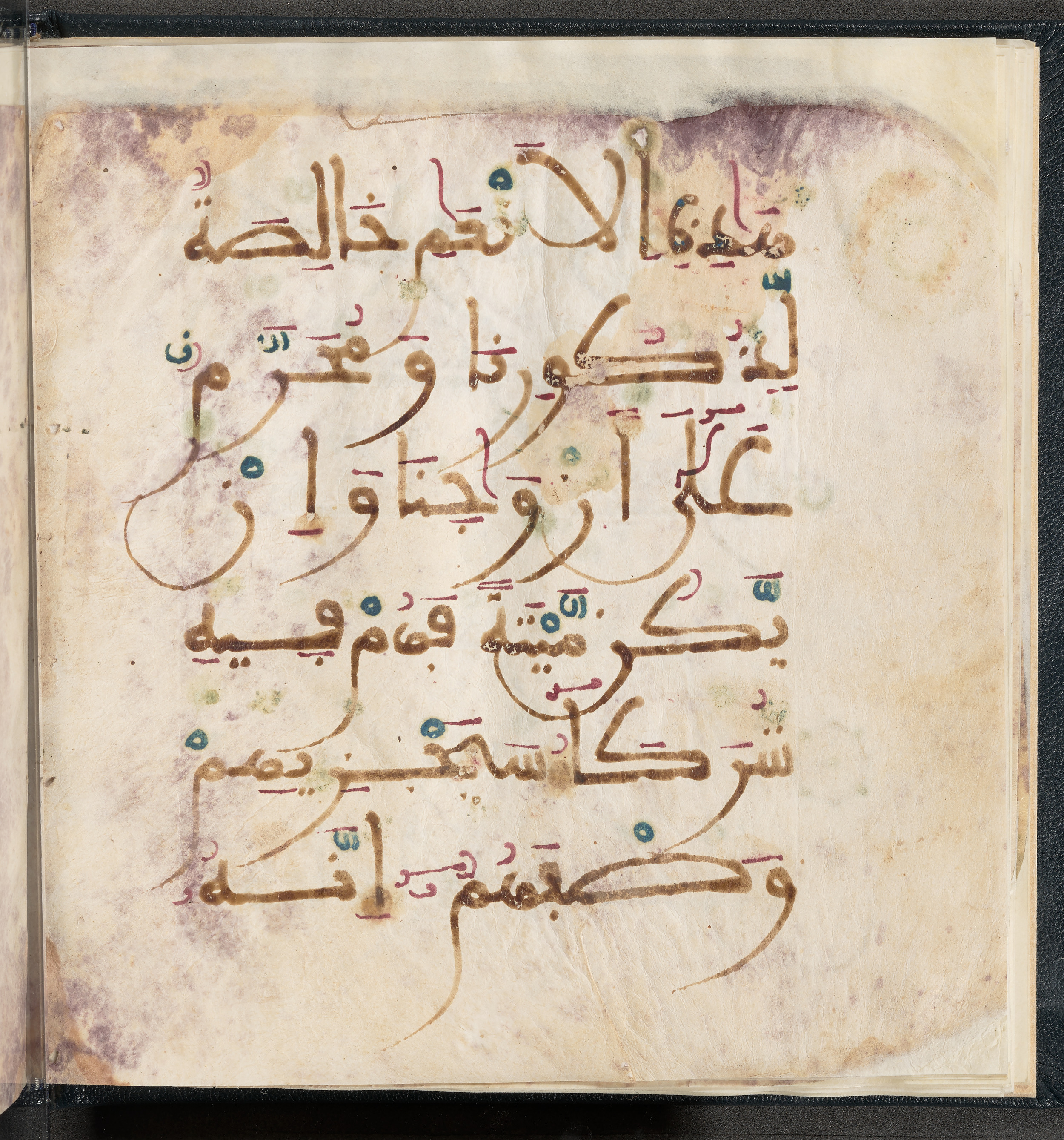 Qatar National Library HC.MS.03150 (Scan 2), in Large Maġribī mabsūṭ script, showing Surah 6:139 from First half of the 14th Century AD found in Northwest Africa (Maghreb) or al-Andalus, currently housed at Qatar National Library, Doha