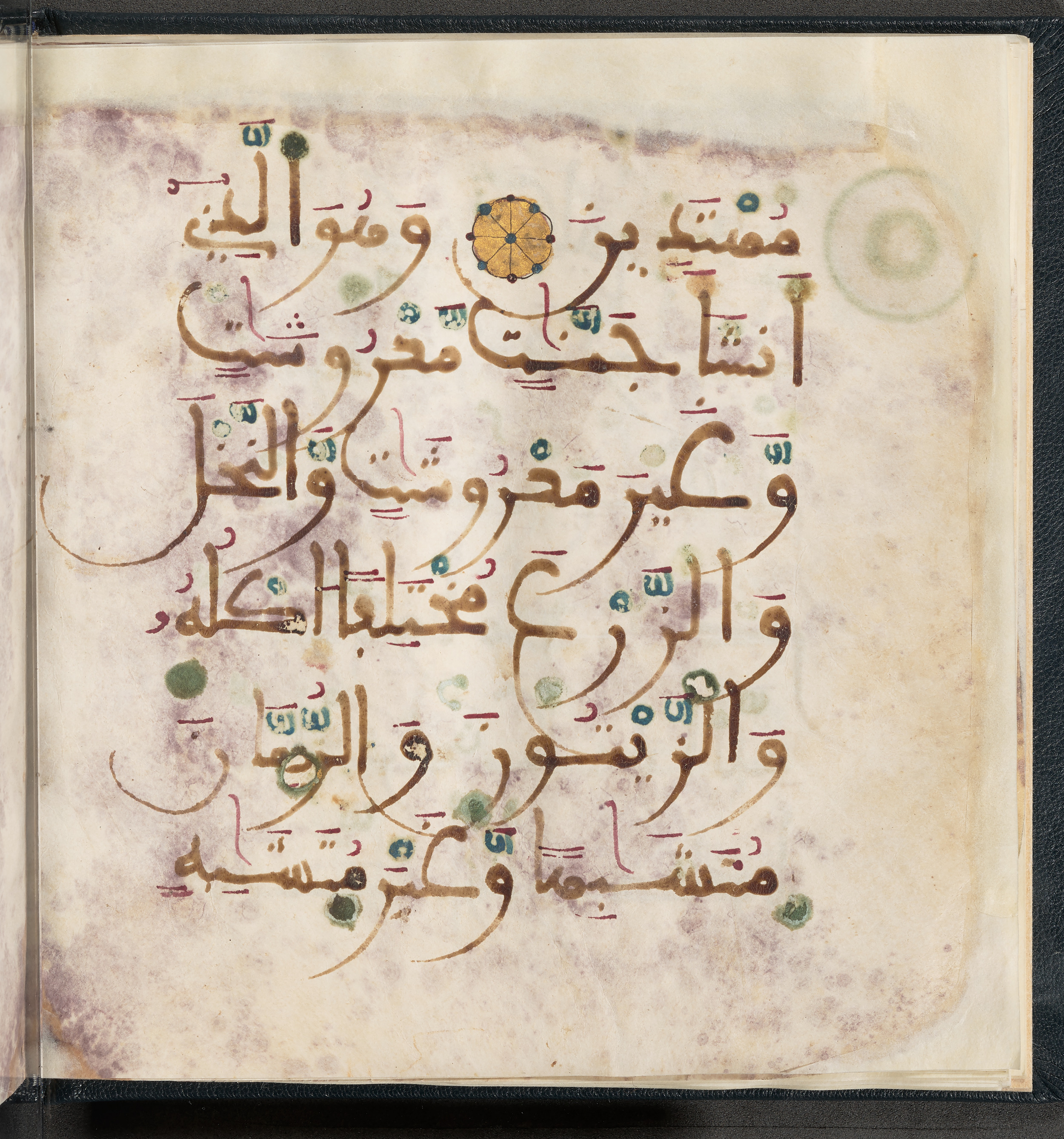 Qatar National Library HC.MS.03150 (Scan 2), in Large Maġribī mabsūṭ script, showing Surah 6:140 from First half of the 14th Century AD found in Northwest Africa (Maghreb) or al-Andalus, currently housed at Qatar National Library, Doha