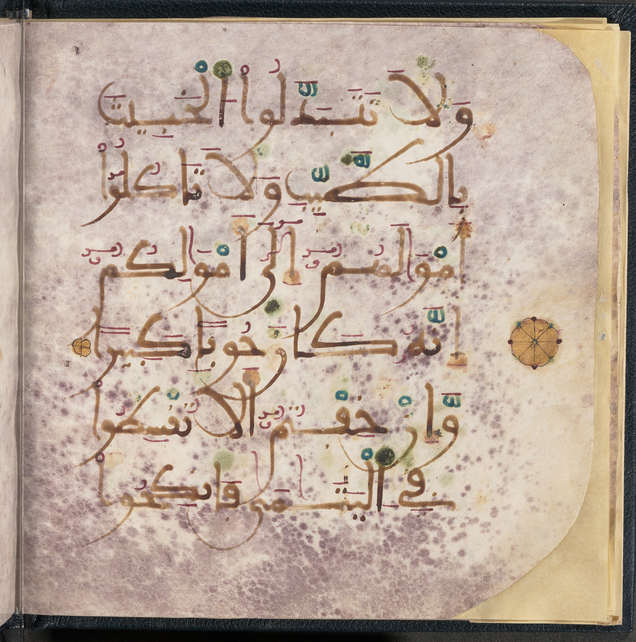 Qatar National Library HC.MS.03150 (Scan 1), in Large Maġribī mabsūṭ script, showing Surah 4:3 from First half of the 14th Century AD found in Northwest Africa (Maghreb) or al-Andalus, currently housed at Qatar National Library, Doha