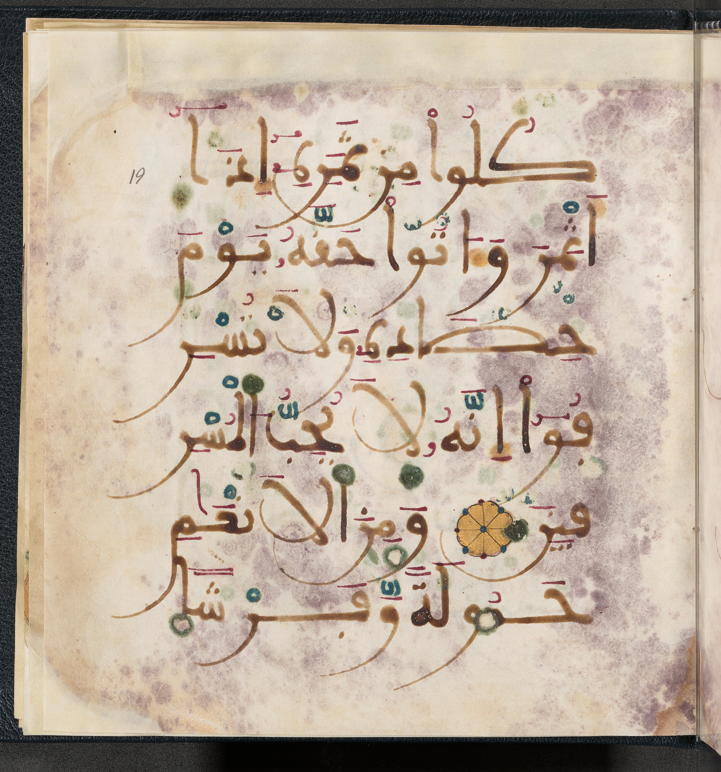 Qatar National Library HC.MS.03150 (Scan 1), in Large Maġribī mabsūṭ script, showing Surah 6:142 from First half of the 14th Century AD found in Northwest Africa (Maghreb) or al-Andalus, currently housed at Qatar National Library, Doha