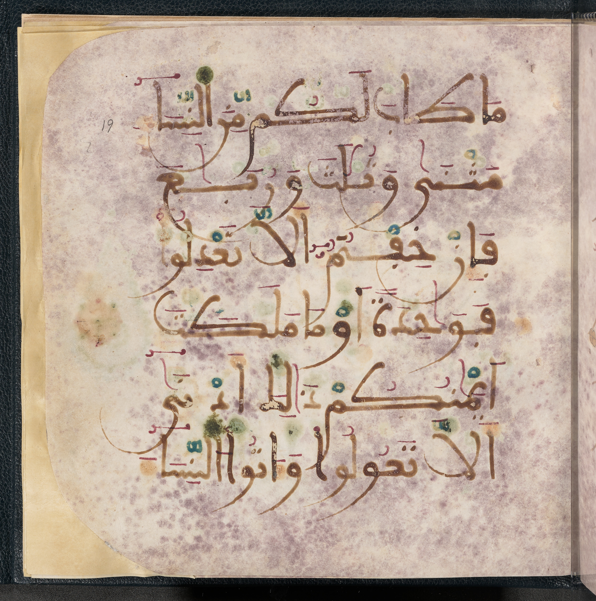 Qatar National Library HC.MS.03150 (Scan 2), in Large Maġribī mabsūṭ script, showing Surah 4:3 from First half of the 14th Century AD found in Northwest Africa (Maghreb) or al-Andalus, currently housed at Qatar National Library, Doha