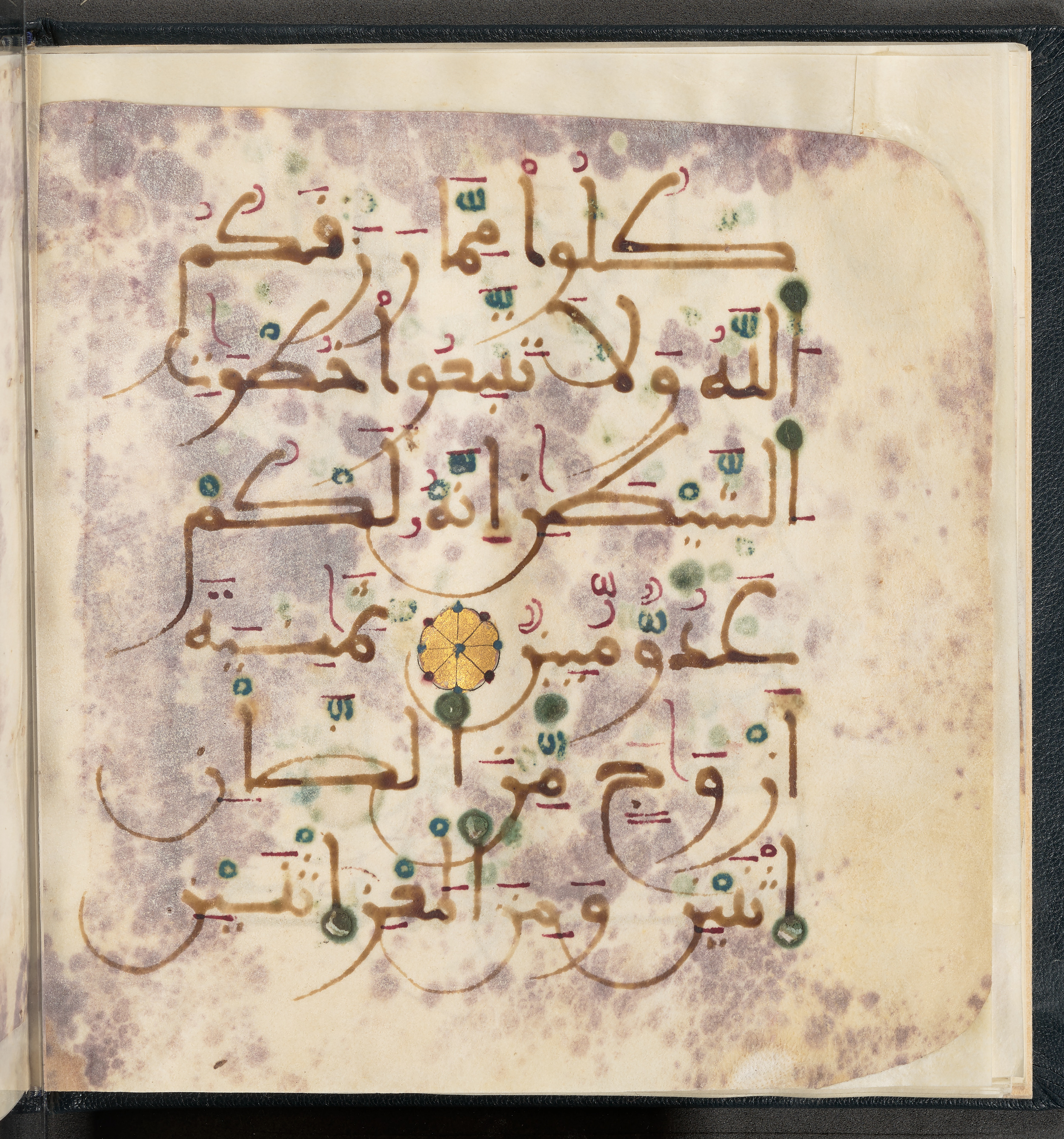 Qatar National Library HC.MS.03150 (Scan 2), in Large Maġribī mabsūṭ script, showing Surah 6:142 from First half of the 14th Century AD found in Northwest Africa (Maghreb) or al-Andalus, currently housed at Qatar National Library, Doha