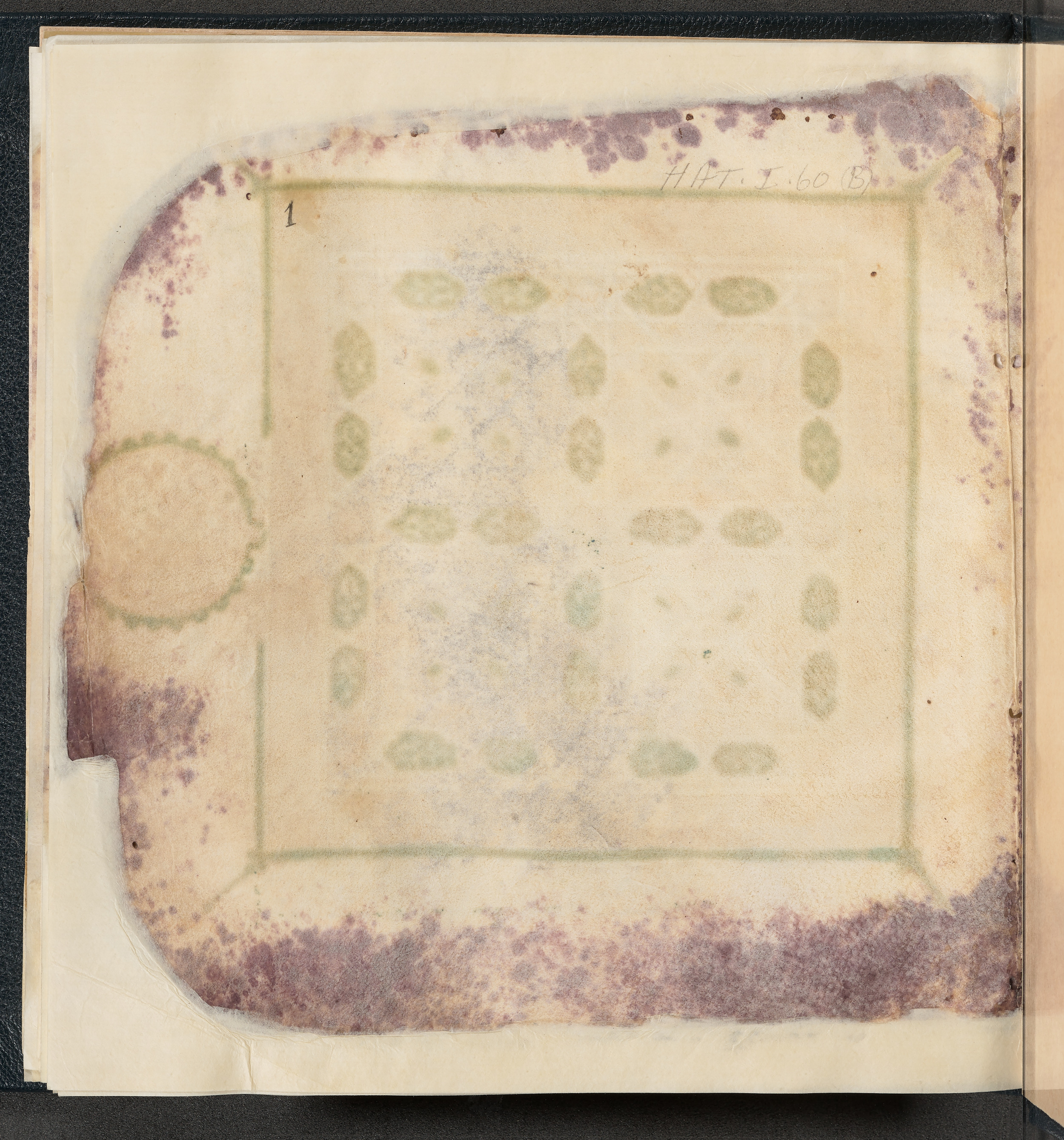 Qatar National Library HC.MS.03150 (Scan 1), in Large Maġribī mabsūṭ script, showing Surah 6:111 from First half of the 14th Century AD found in Northwest Africa (Maghreb) or al-Andalus, currently housed at Qatar National Library, Doha