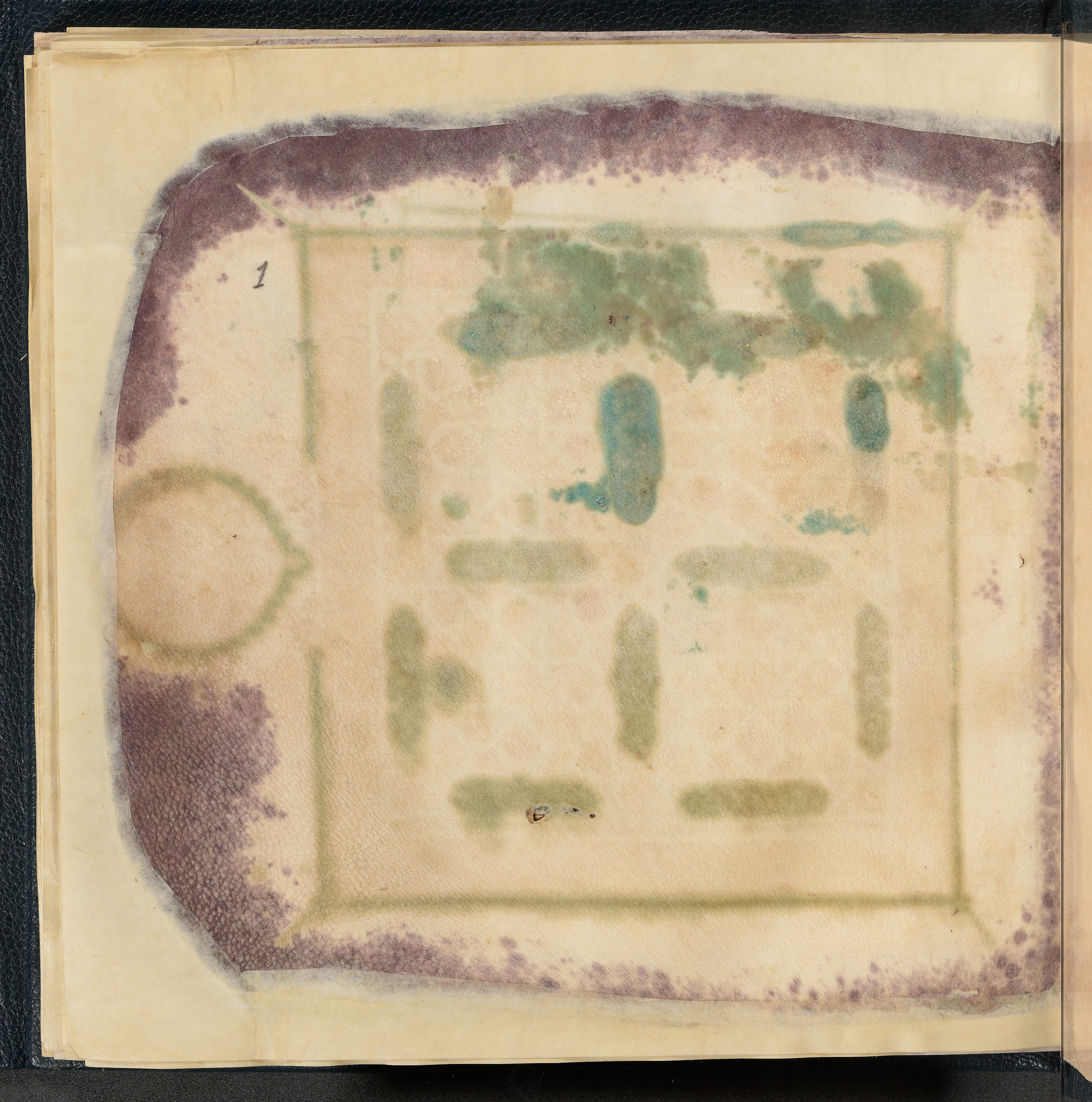 Qatar National Library HC.MS.03150 (Scan 1), in Large Maġribī mabsūṭ script, showing Surah 3:171 from First half of the 14th Century AD found in Northwest Africa (Maghreb) or al-Andalus, currently housed at Qatar National Library, Doha