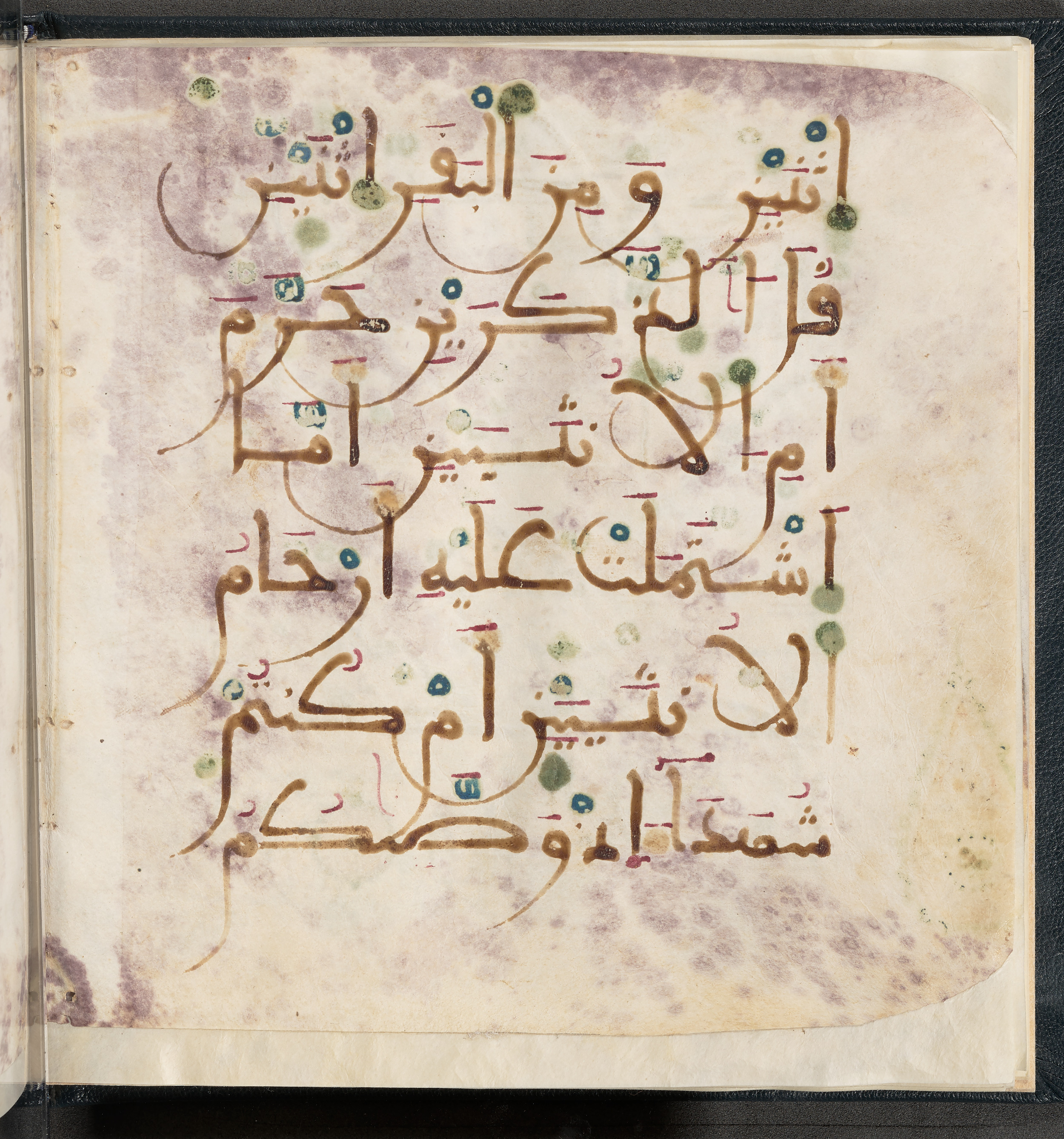 Qatar National Library HC.MS.03150 (Scan 2), in Large Maġribī mabsūṭ script, showing Surah 6:144 from First half of the 14th Century AD found in Northwest Africa (Maghreb) or al-Andalus, currently housed at Qatar National Library, Doha