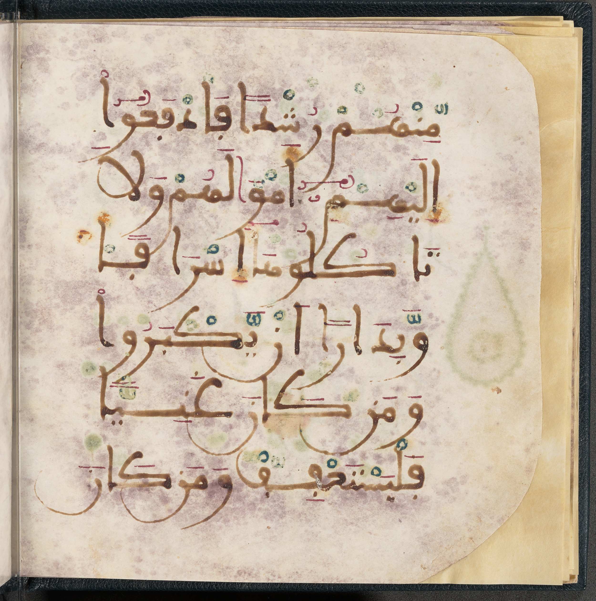 Qatar National Library HC.MS.03150 (Scan 2), in Large Maġribī mabsūṭ script, showing Surah 4:6 from First half of the 14th Century AD found in Northwest Africa (Maghreb) or al-Andalus, currently housed at Qatar National Library, Doha