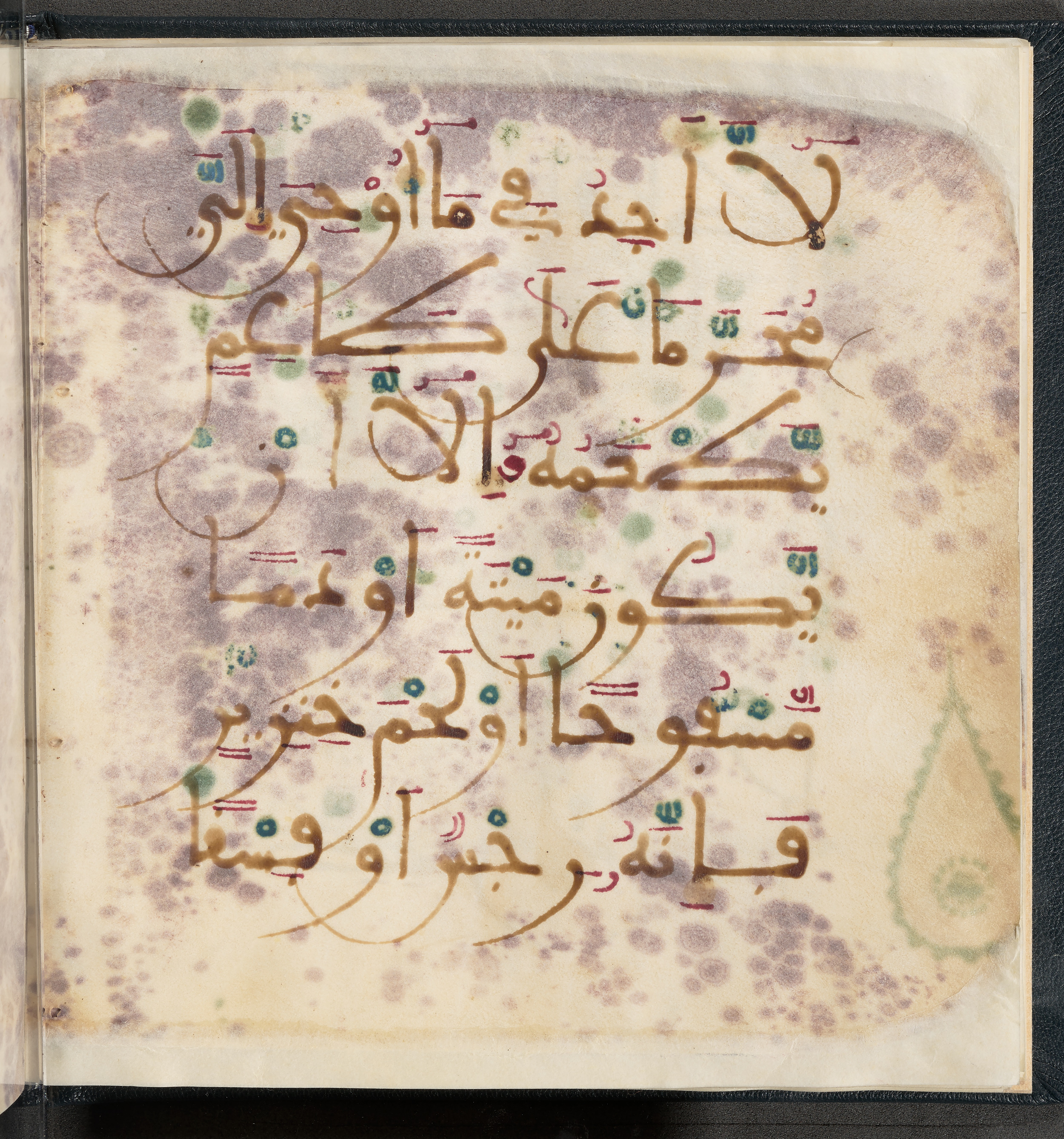 Qatar National Library HC.MS.03150 (Scan 2), in Large Maġribī mabsūṭ script, showing Surah 6:145 from First half of the 14th Century AD found in Northwest Africa (Maghreb) or al-Andalus, currently housed at Qatar National Library, Doha