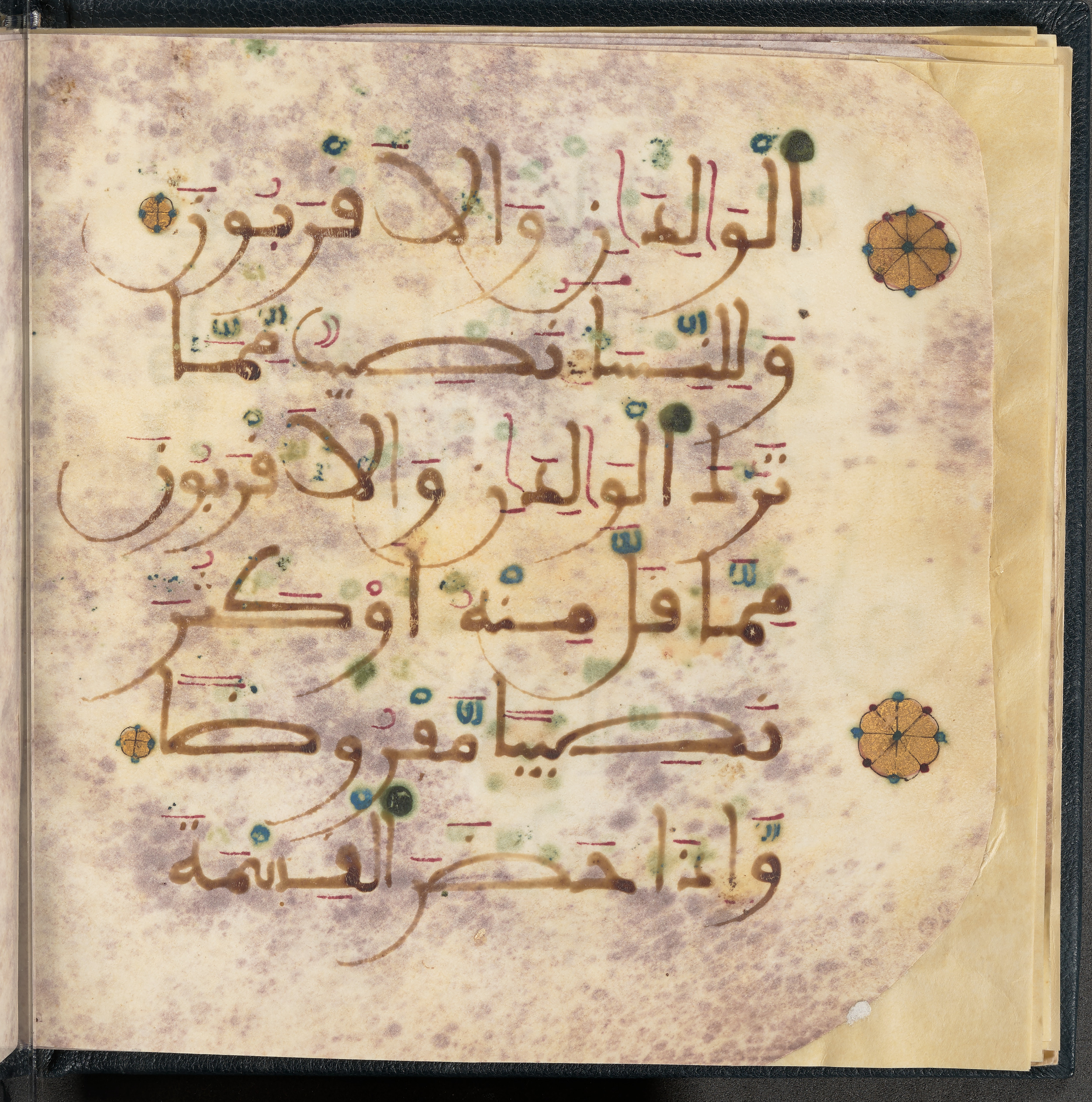 Qatar National Library HC.MS.03150 (Scan 2), in Large Maġribī mabsūṭ script, showing Surah 4:7 from First half of the 14th Century AD found in Northwest Africa (Maghreb) or al-Andalus, currently housed at Qatar National Library, Doha