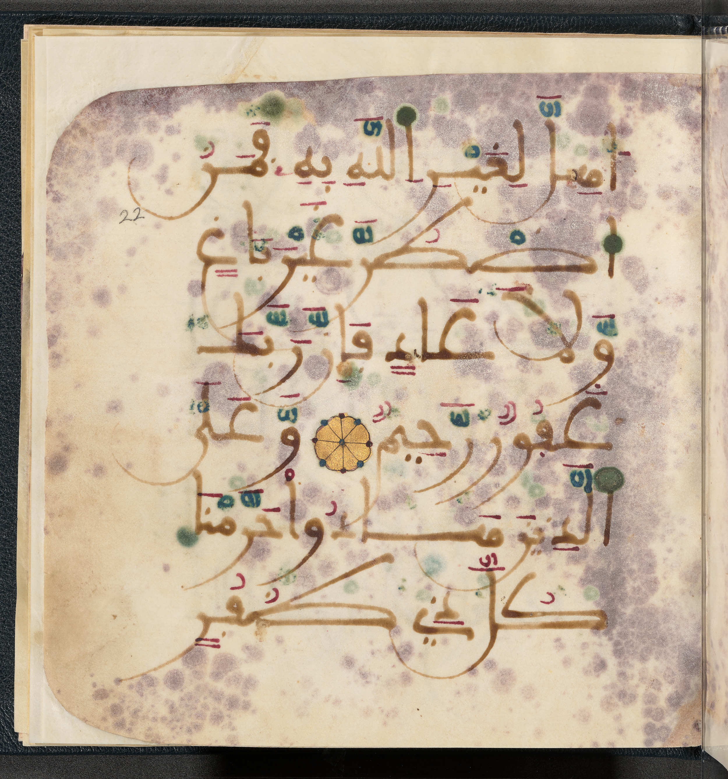 Qatar National Library HC.MS.03150 (Scan 1), in Large Maġribī mabsūṭ script, showing Surah 6:146 from First half of the 14th Century AD found in Northwest Africa (Maghreb) or al-Andalus, currently housed at Qatar National Library, Doha