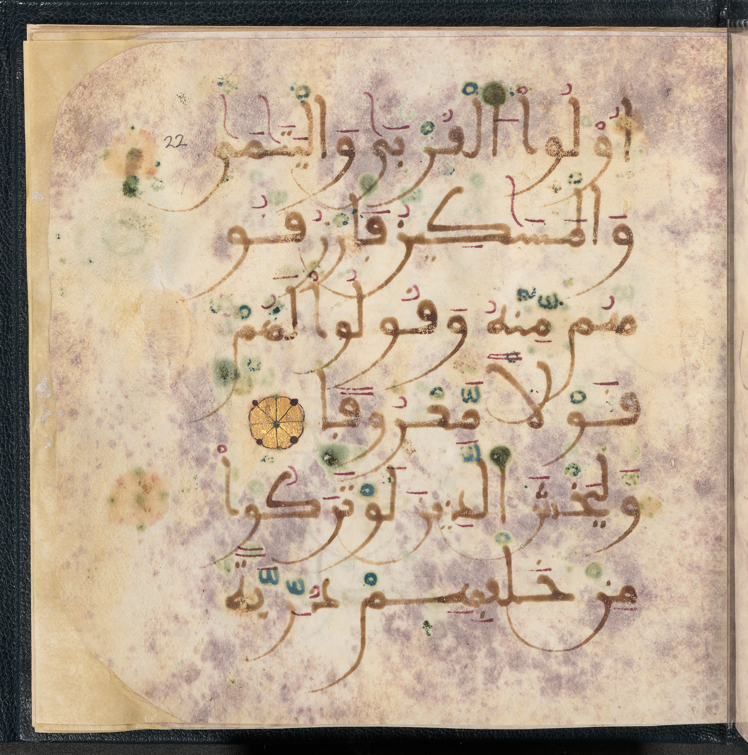 Qatar National Library HC.MS.03150 (Scan 2), in Large Maġribī mabsūṭ script, showing Surah 4:8 from First half of the 14th Century AD found in Northwest Africa (Maghreb) or al-Andalus, currently housed at Qatar National Library, Doha