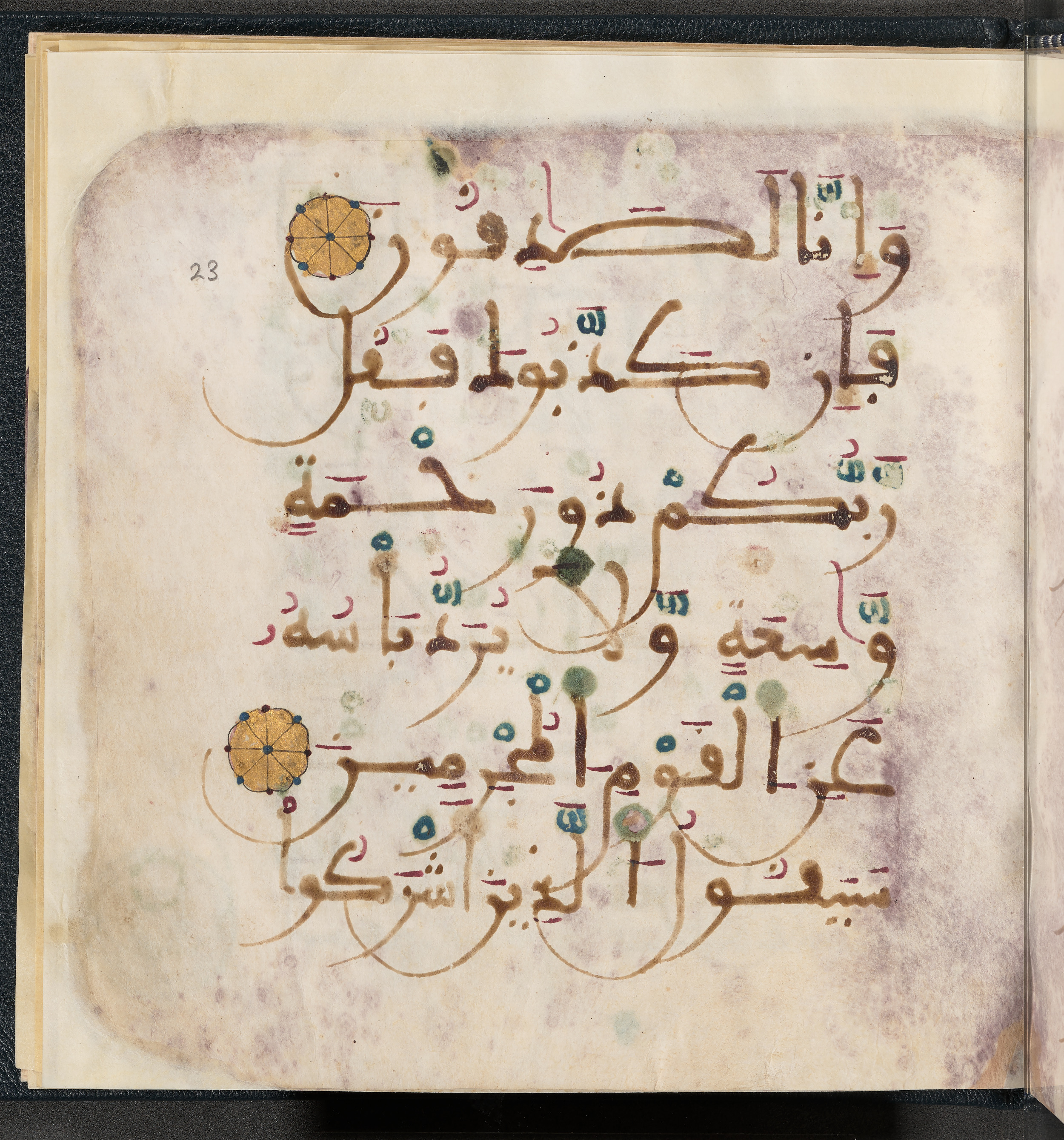 Qatar National Library HC.MS.03150, in Large Maġribī mabsūṭ script, showing Surah 6:147 from First half of the 14th Century AD found in Northwest Africa (Maghreb) or al-Andalus, currently housed at Qatar National Library, Doha
