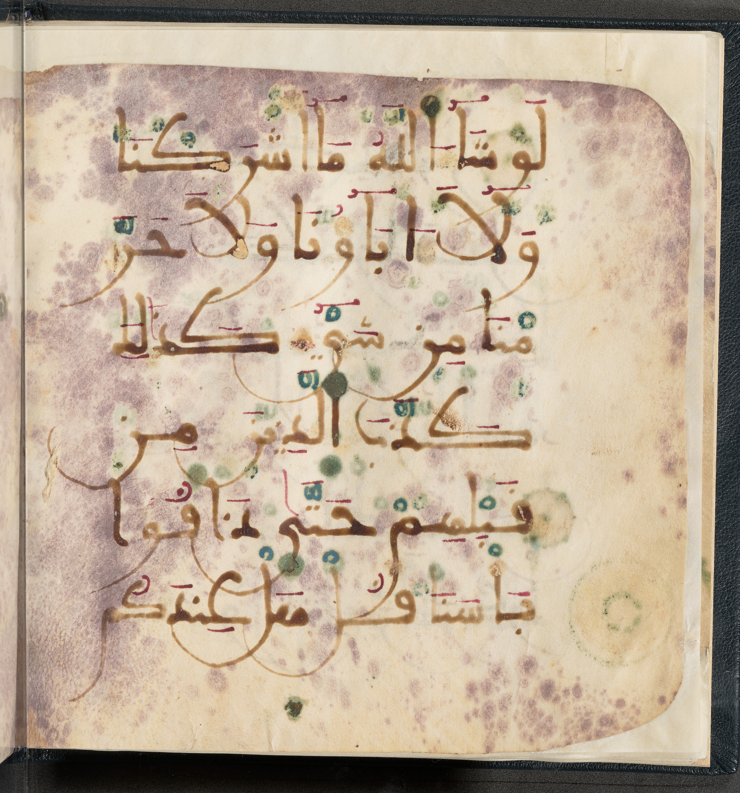 Qatar National Library HC.MS.03150 (Scan 2), in Large Maġribī mabsūṭ script, showing Surah 6:148 from First half of the 14th Century AD found in Northwest Africa (Maghreb) or al-Andalus, currently housed at Qatar National Library, Doha