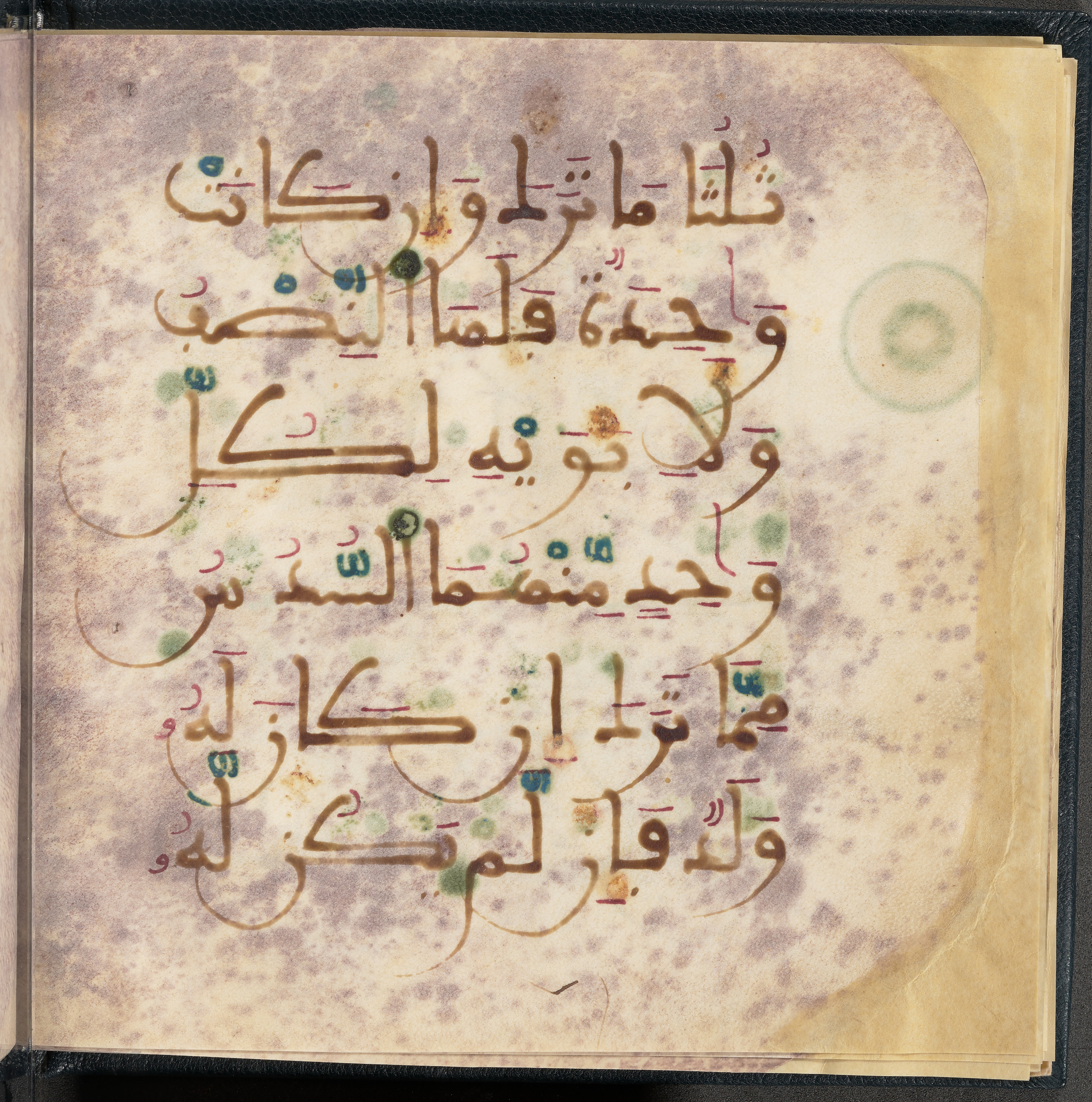 Qatar National Library HC.MS.03150 (Scan 2), in Large Maġribī mabsūṭ script, showing Surah 4:11 from First half of the 14th Century AD found in Northwest Africa (Maghreb) or al-Andalus, currently housed at Qatar National Library, Doha