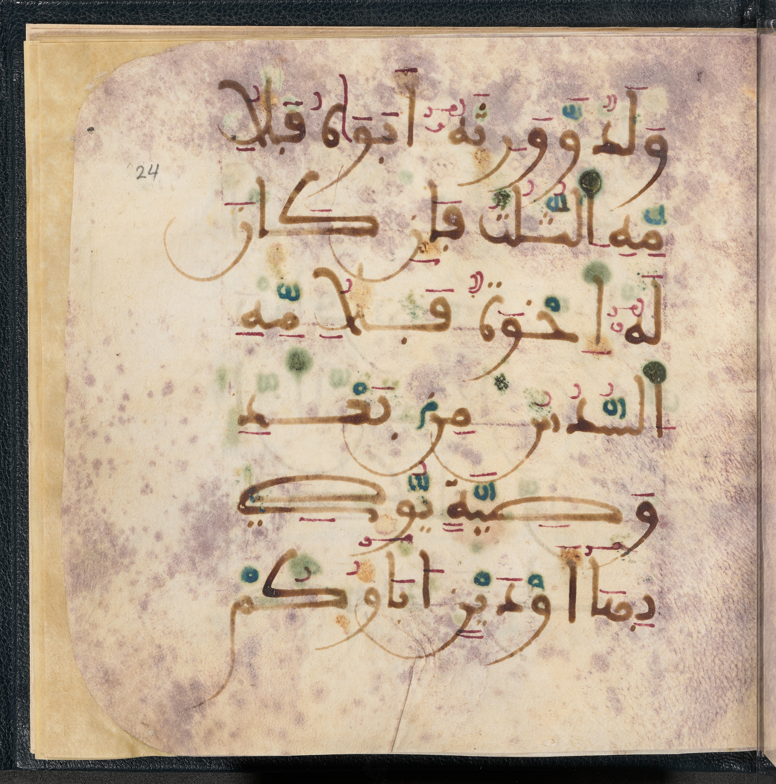 Qatar National Library HC.MS.03150 (Scan 3), in Large Maġribī mabsūṭ script, showing Surah 4:11 from First half of the 14th Century AD found in Northwest Africa (Maghreb) or al-Andalus, currently housed at Qatar National Library, Doha