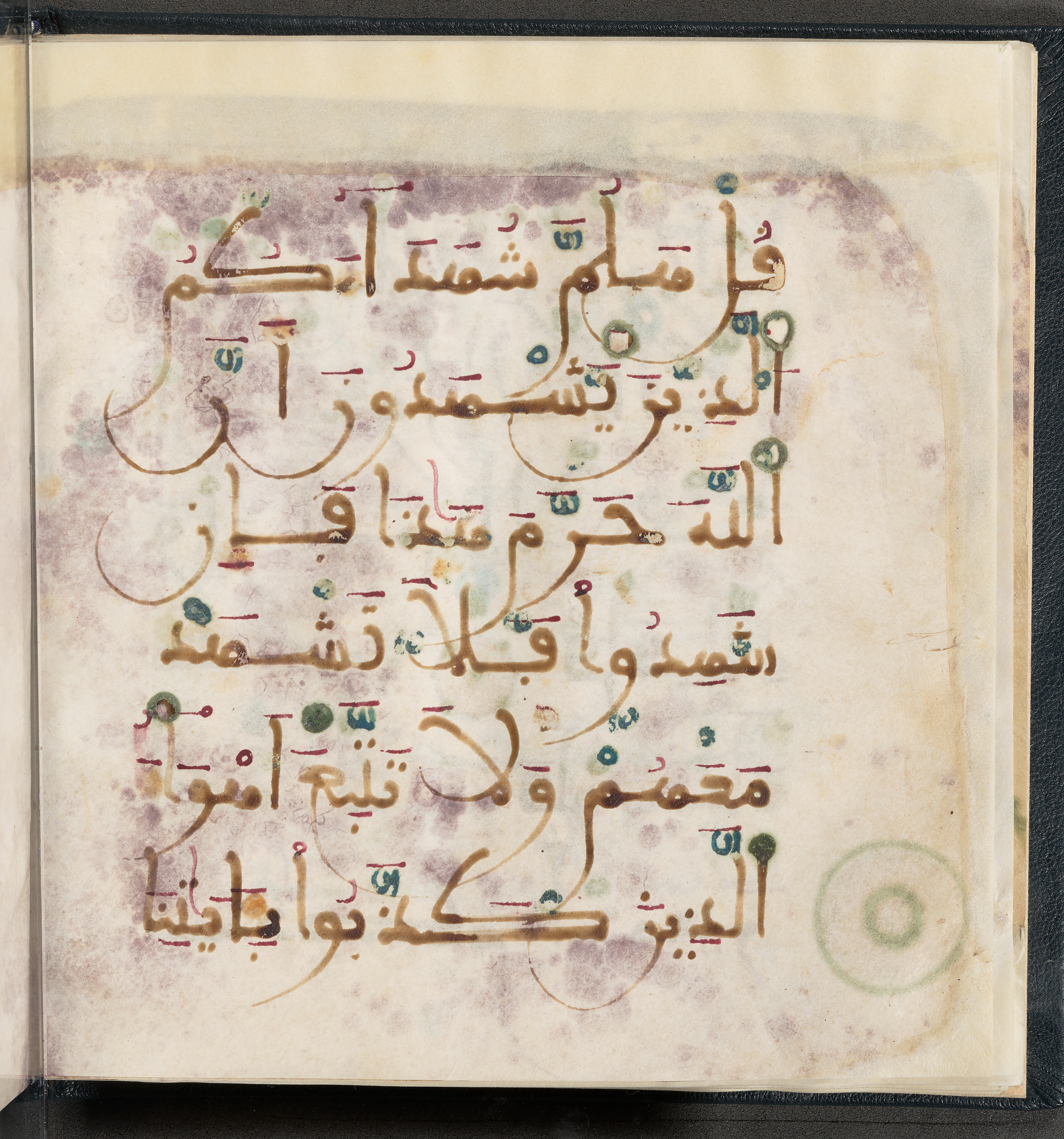 Qatar National Library HC.MS.03150 (Scan 1), in Large Maġribī mabsūṭ script, showing Surah 6:150 from First half of the 14th Century AD found in Northwest Africa (Maghreb) or al-Andalus, currently housed at Qatar National Library, Doha