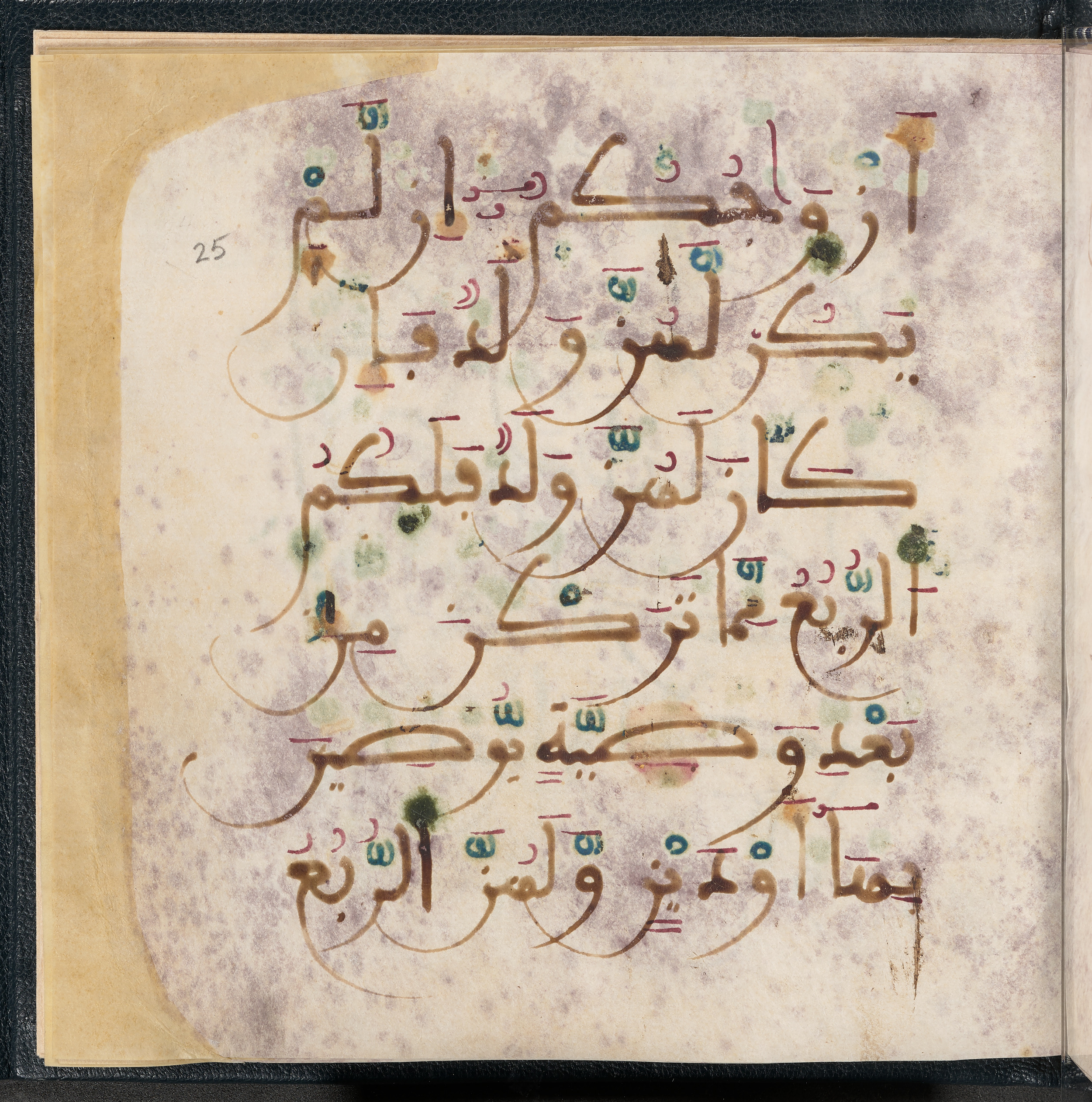 Qatar National Library HC.MS.03150 (Scan 2), in Large Maġribī mabsūṭ script, showing Surah 4:12 from First half of the 14th Century AD found in Northwest Africa (Maghreb) or al-Andalus, currently housed at Qatar National Library, Doha